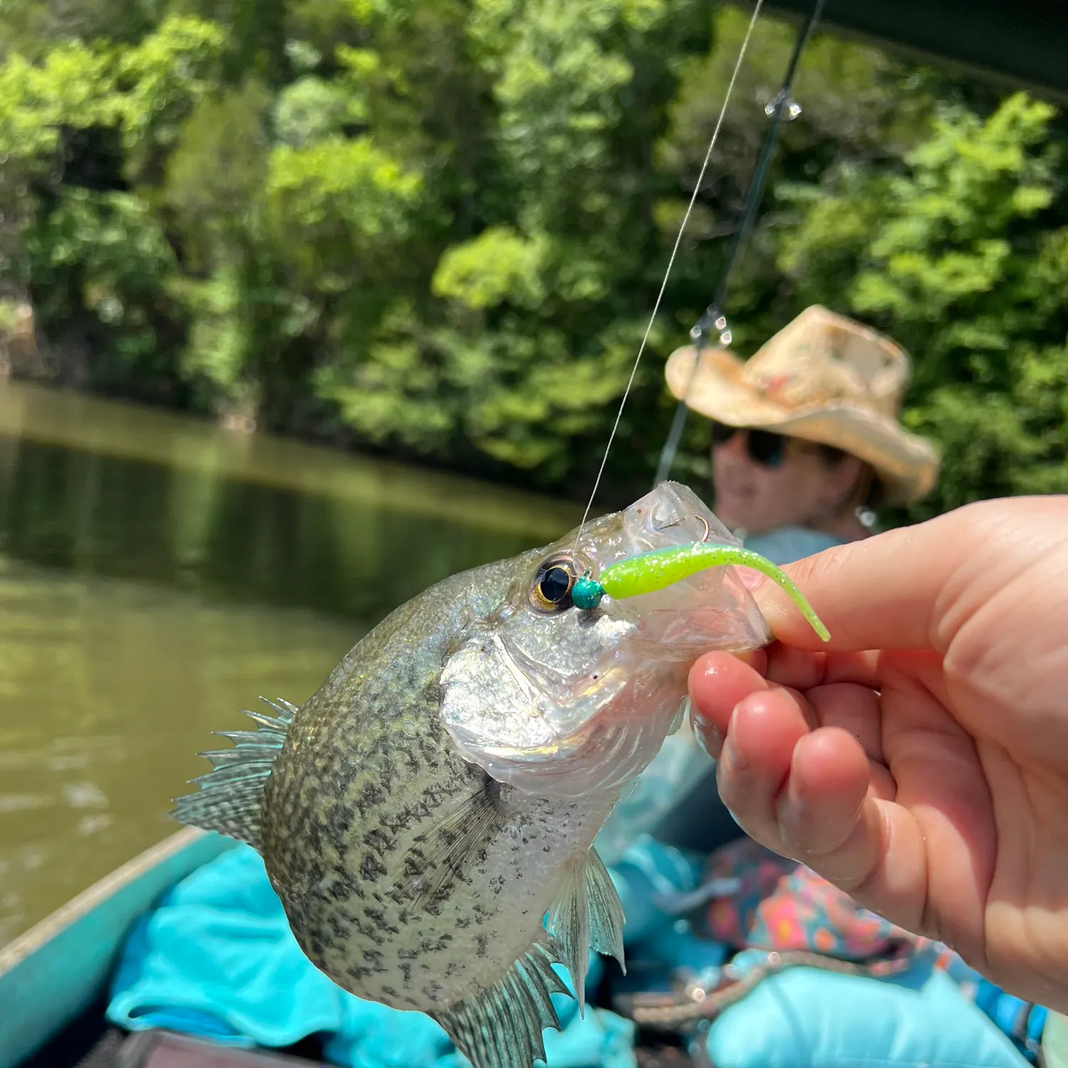 The most recent Black crappie catches on Fishbrain