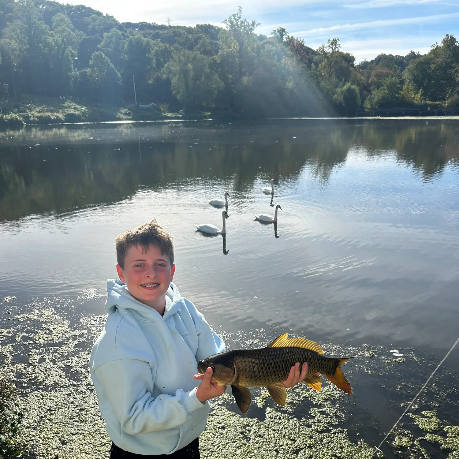 Common carp caught on Fishbrain