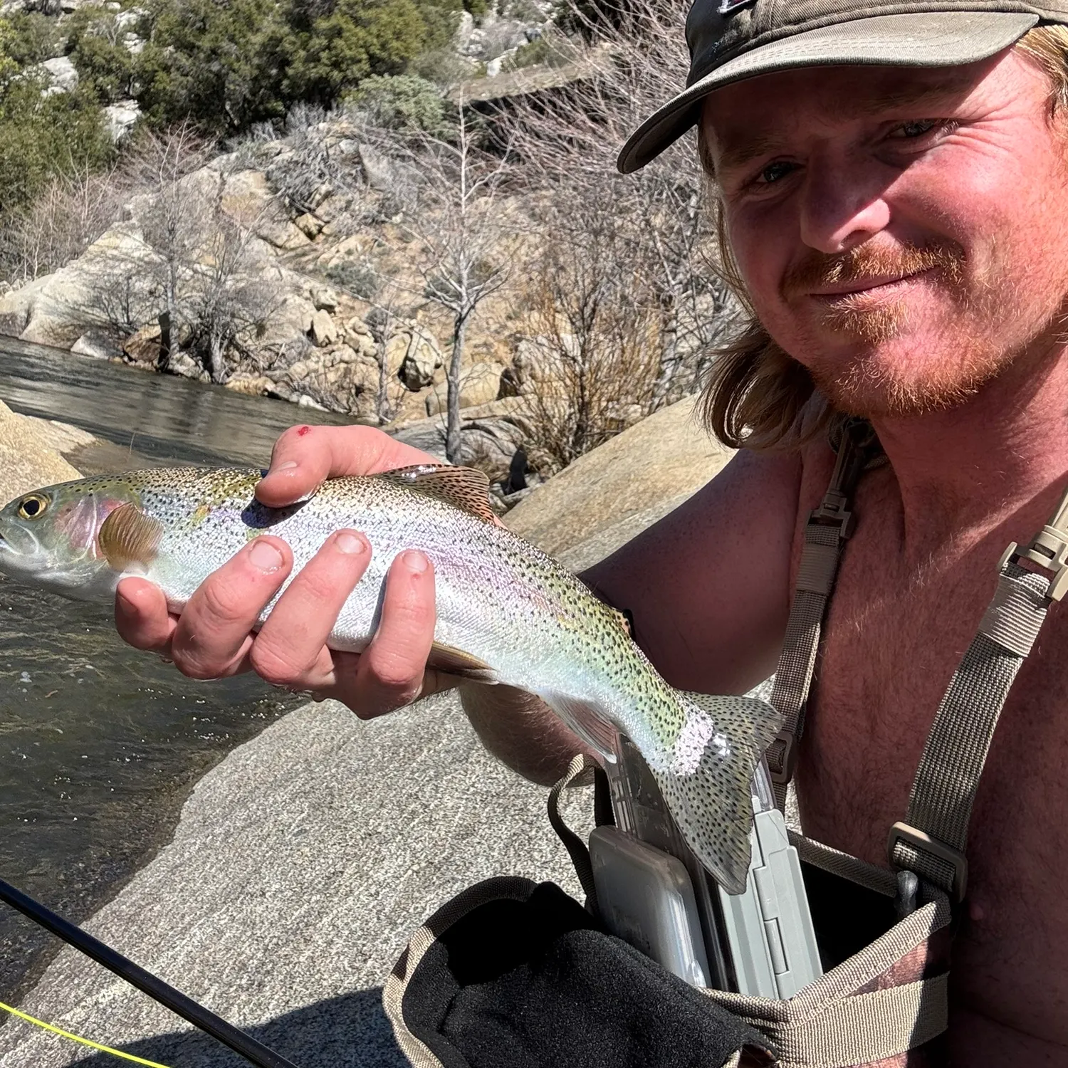 The most recent Kern River Rainbow Trout catches on Fishbrain