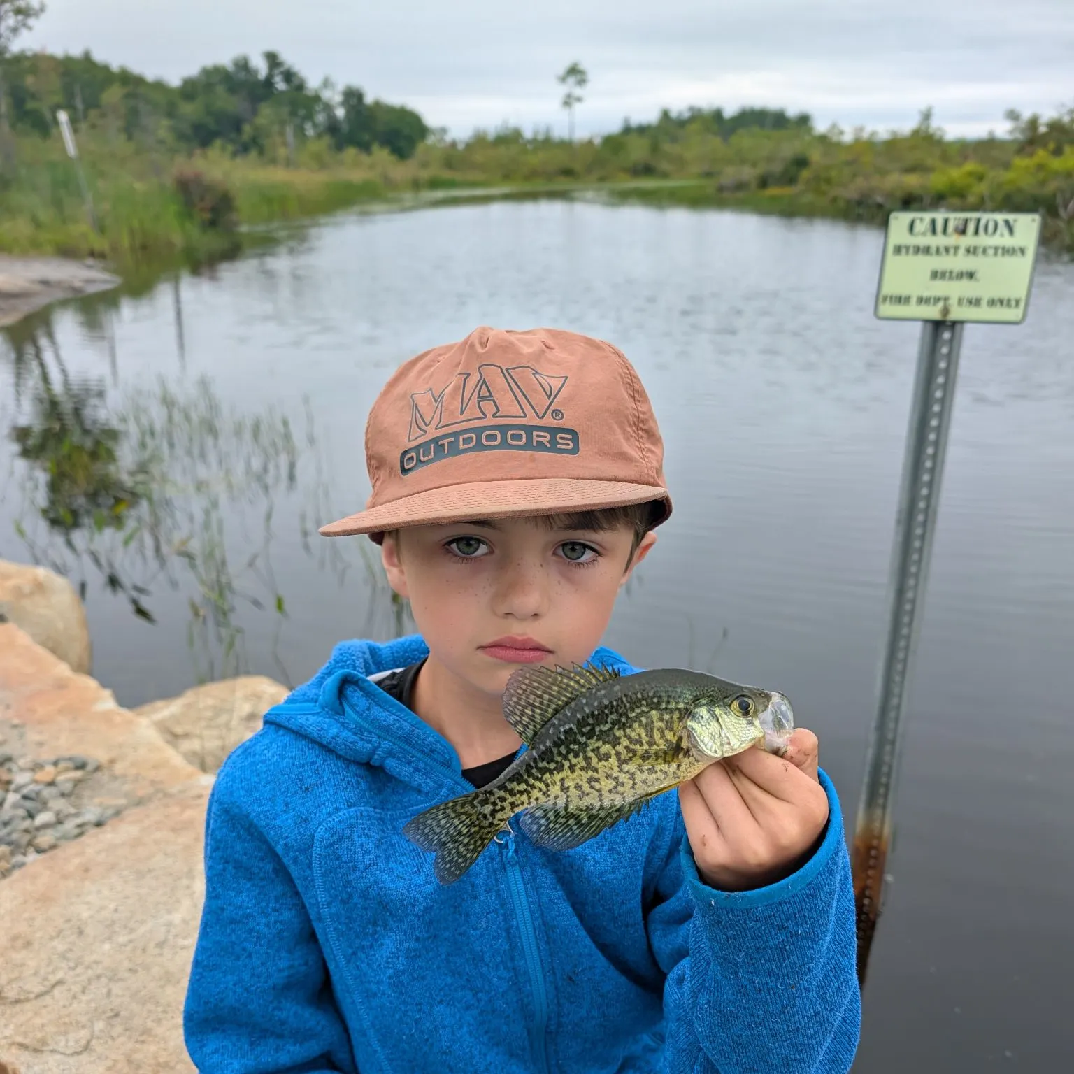 Black crappie caught on Fishbrain