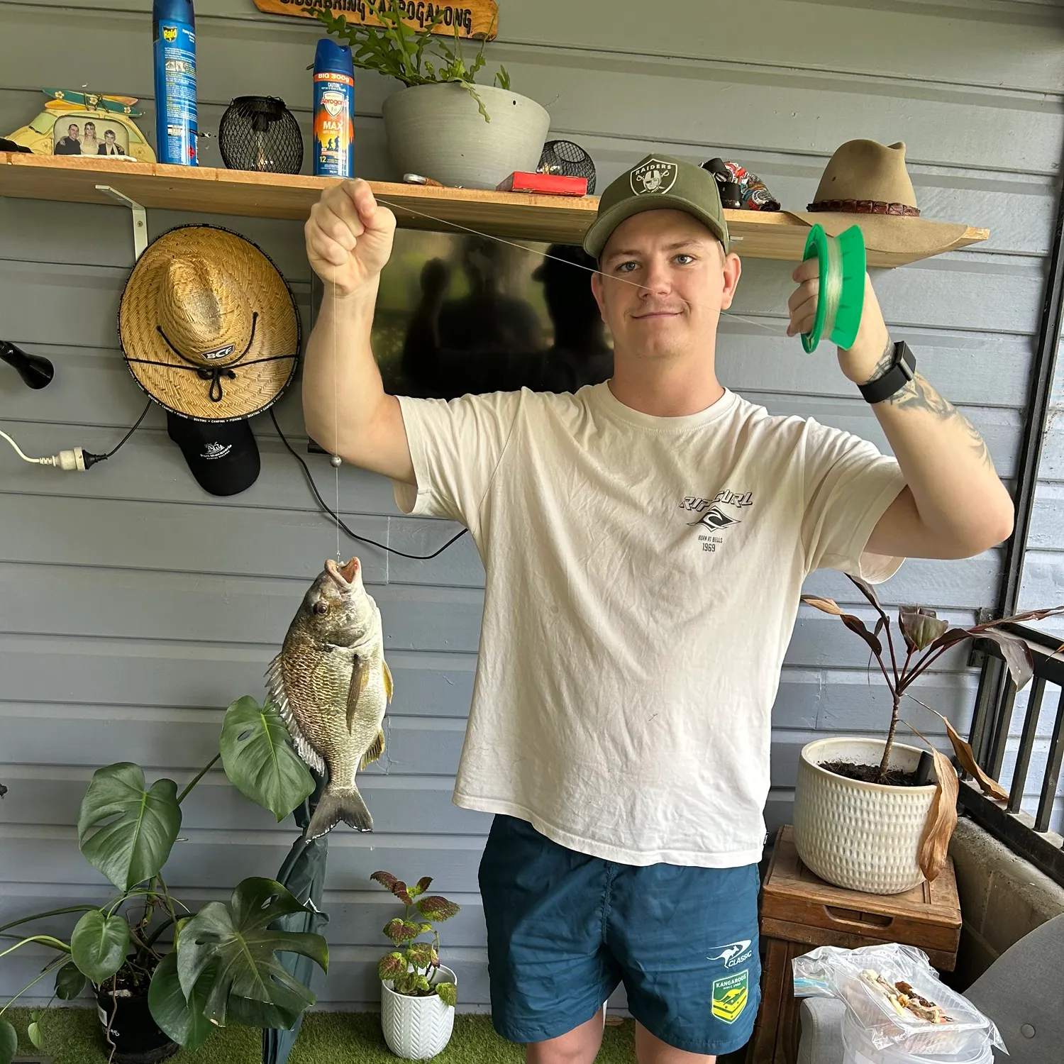 recently logged catches