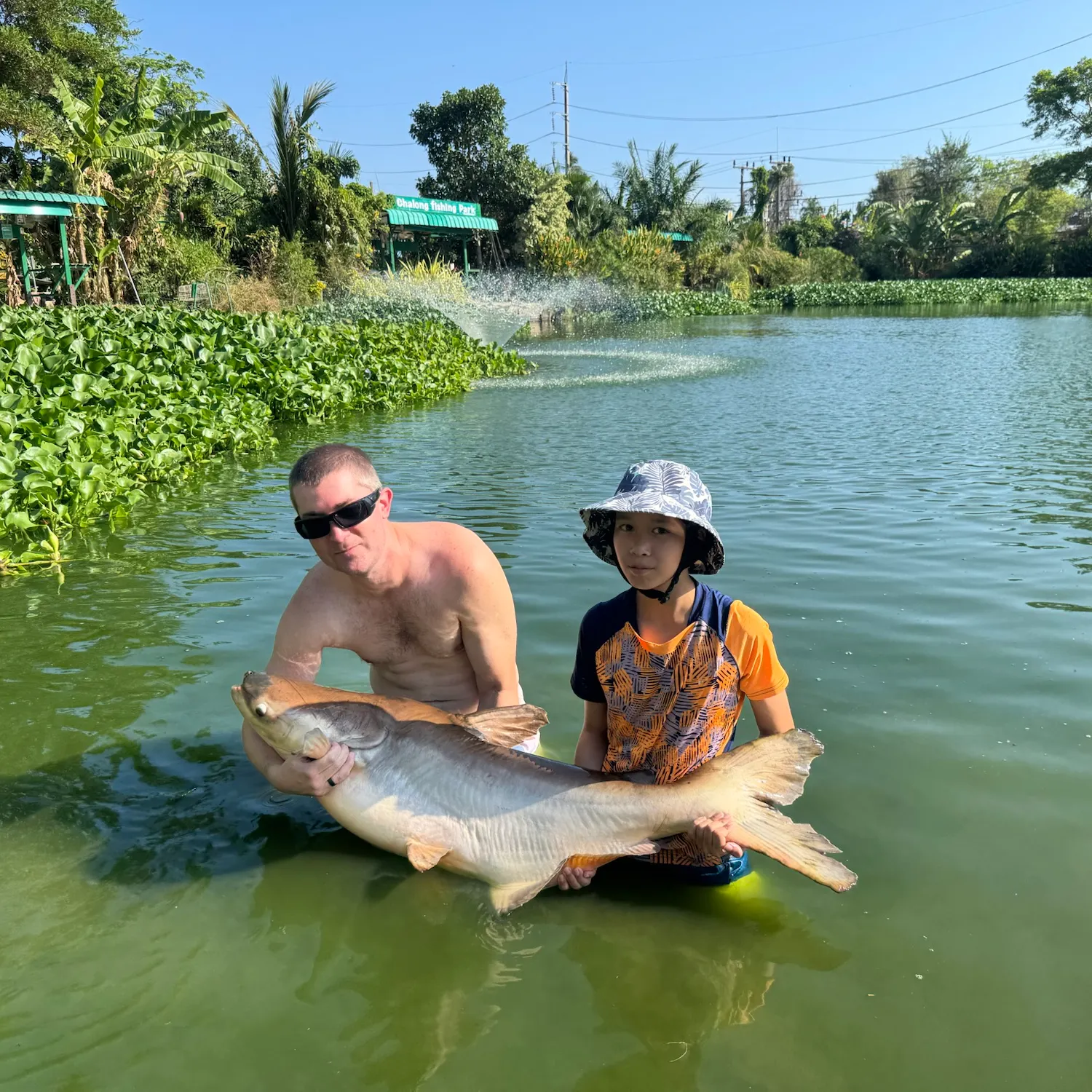 The most recent Mekong giant catfish catches on Fishbrain