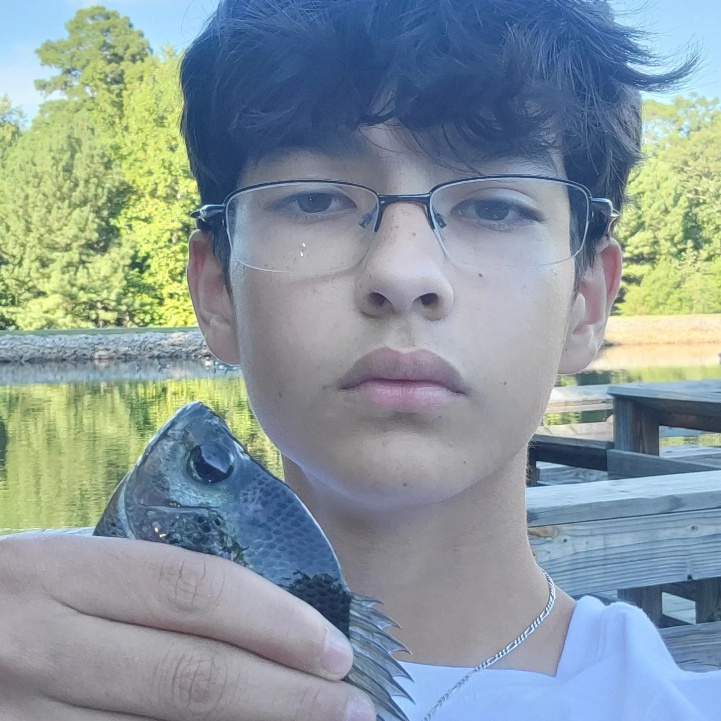 Bluegill caught on Fishbrain