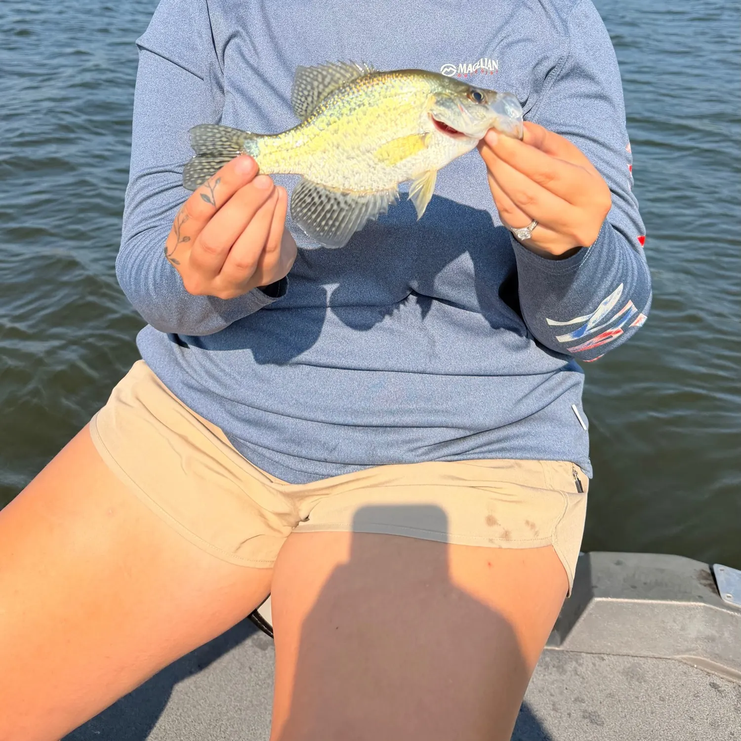 Black crappie caught on Fishbrain