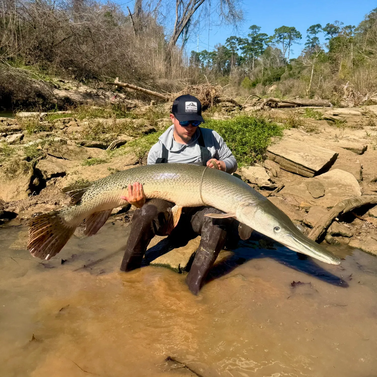 The most recent Alligator gar catches on Fishbrain