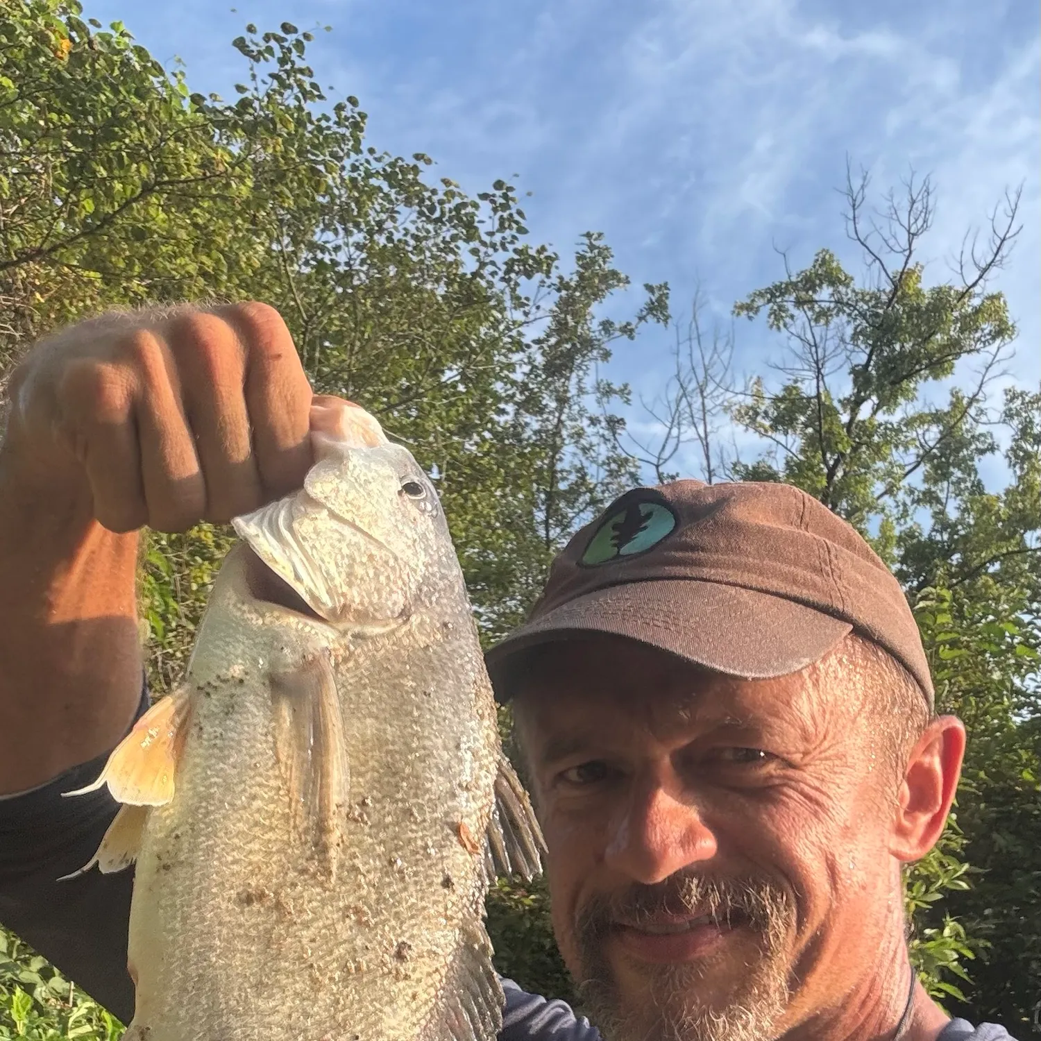 Freshwater drum caught on Fishbrain