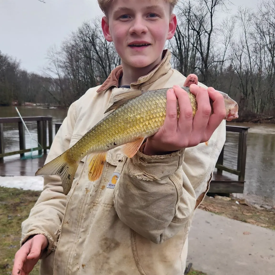 The most recent Golden redhorse catches on Fishbrain