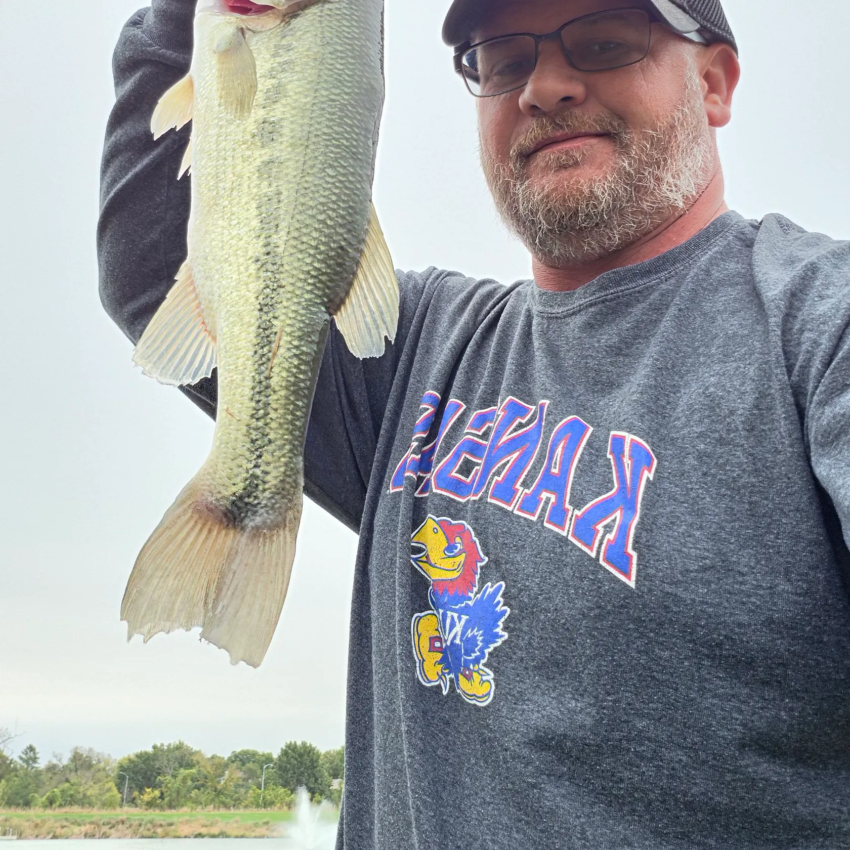 Largemouth bass caught on Fishbrain
