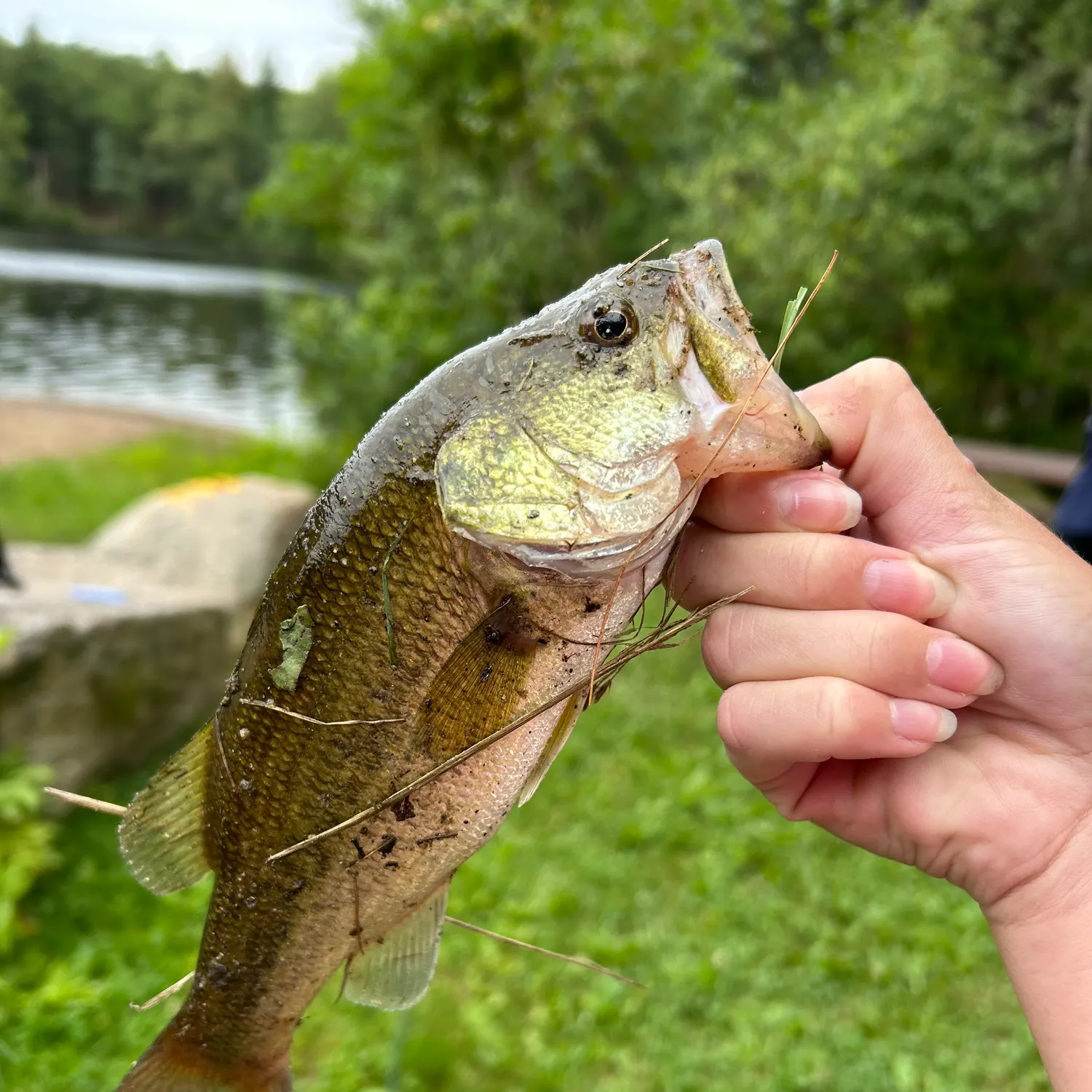 catch