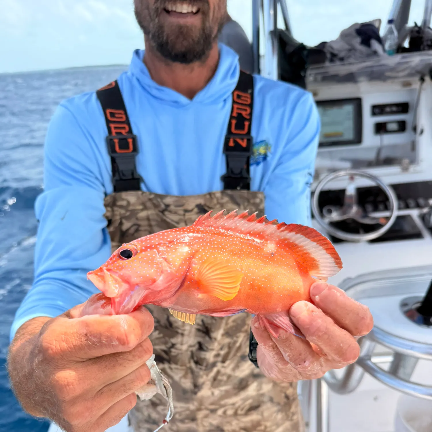 The most recent Coney grouper catches on Fishbrain