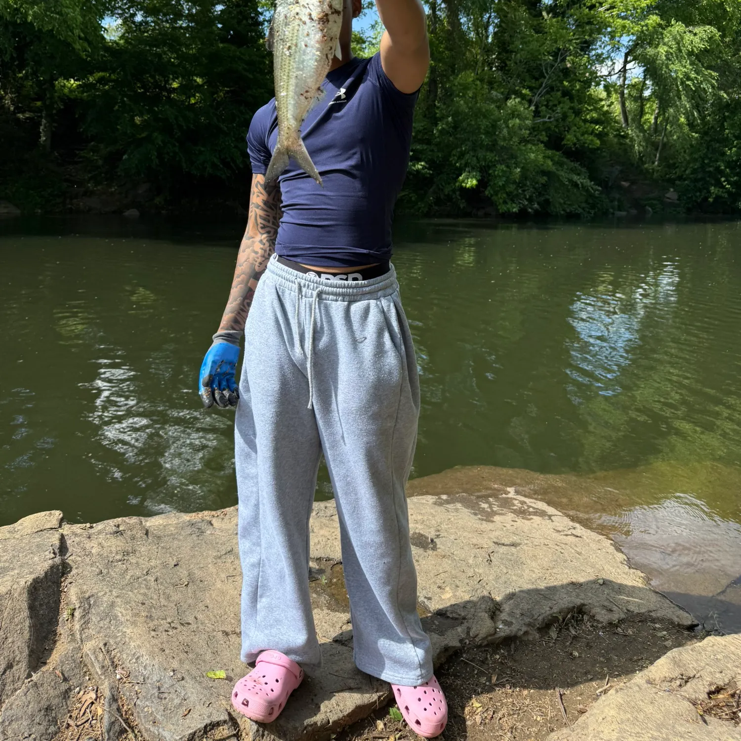 The most recent American shad catches on Fishbrain