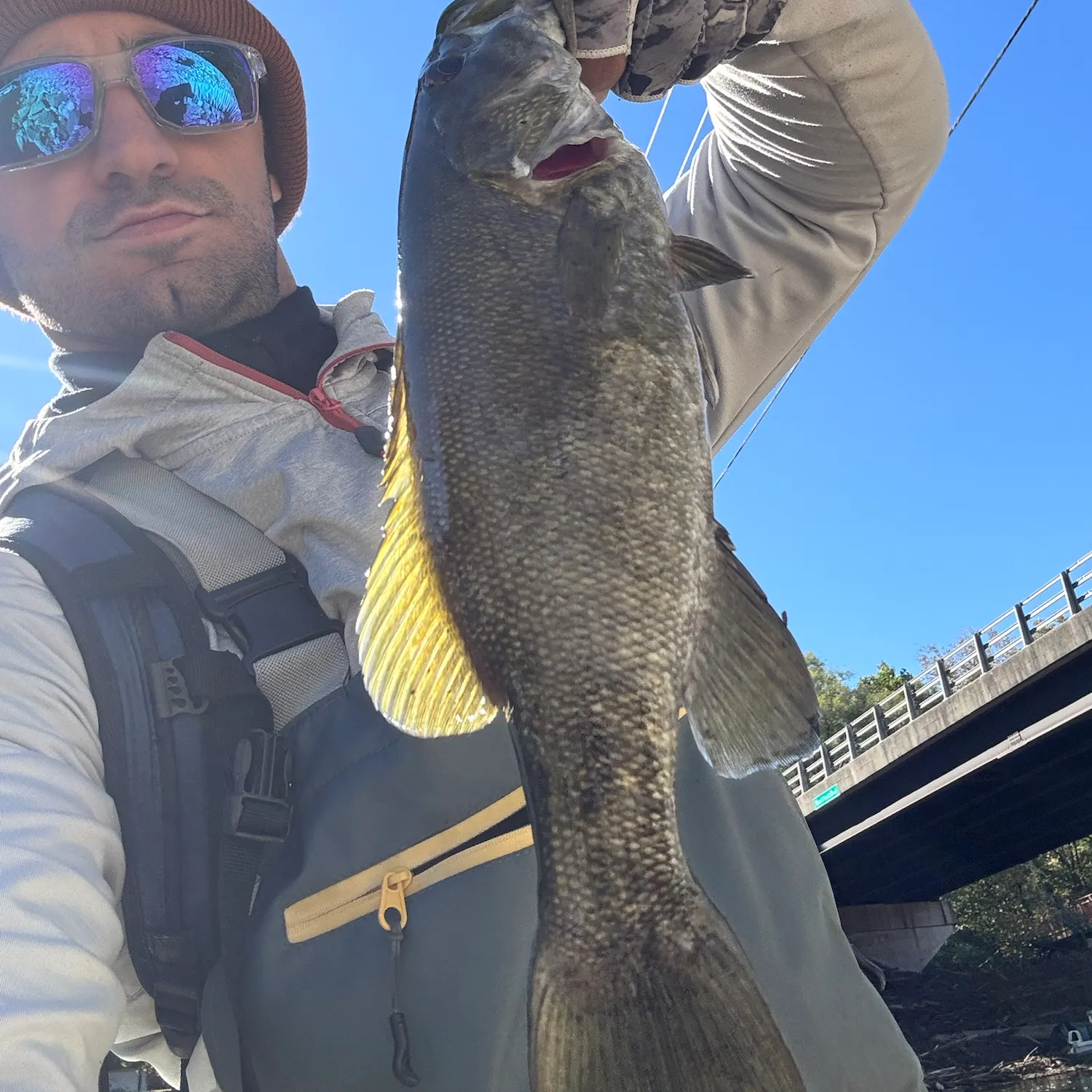 Smallmouth bass caught on Fishbrain