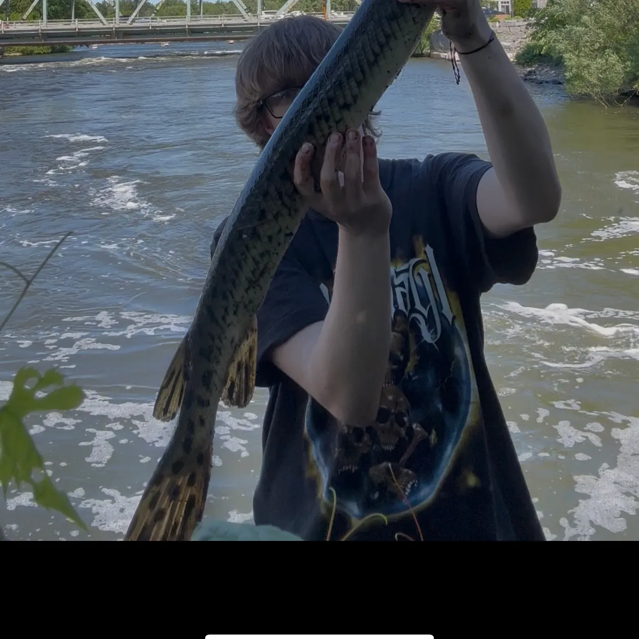 The most recent Longnose gar catches on Fishbrain
