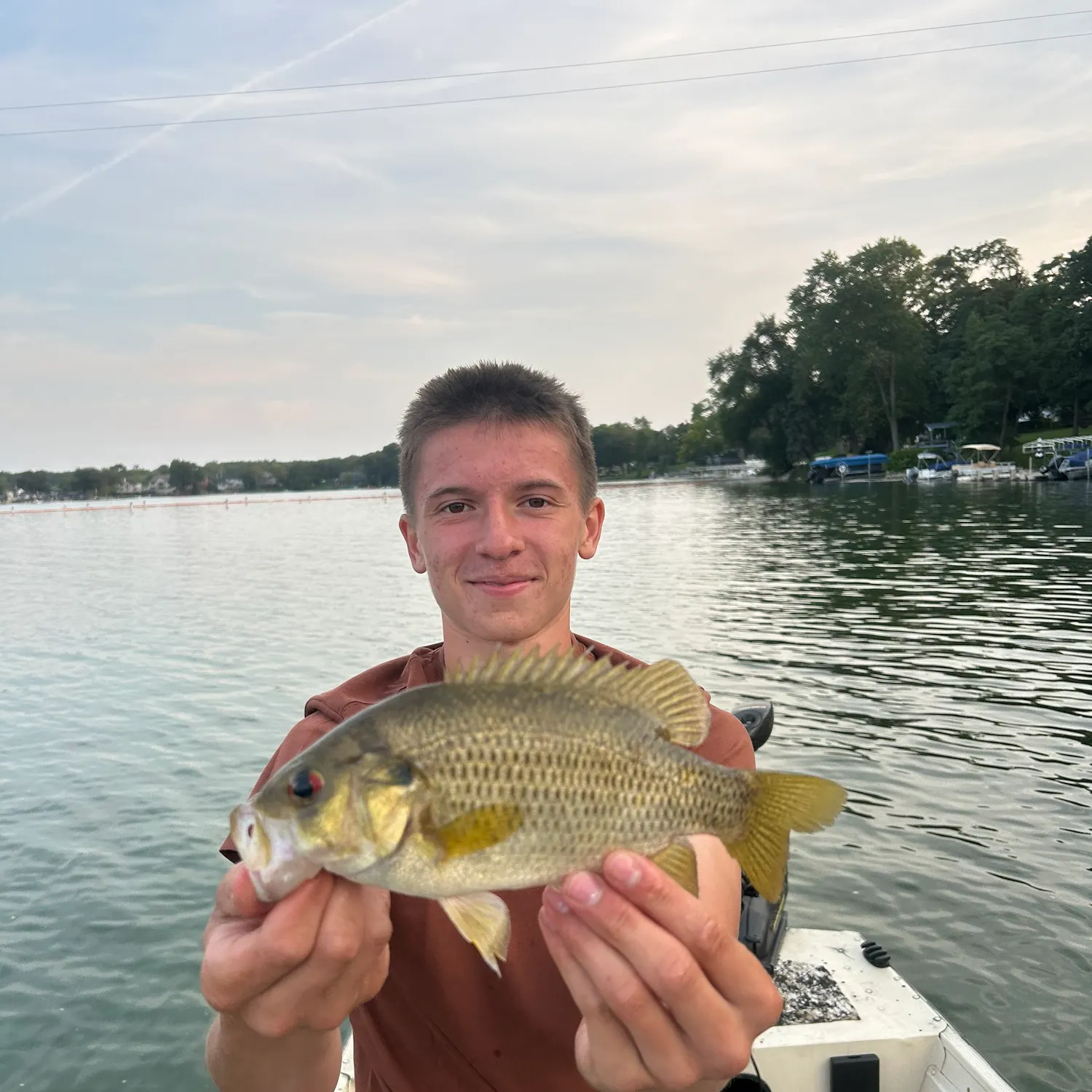 Northern pike caught on Fishbrain