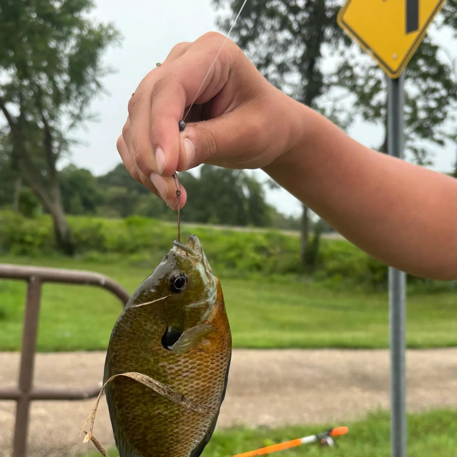 catch