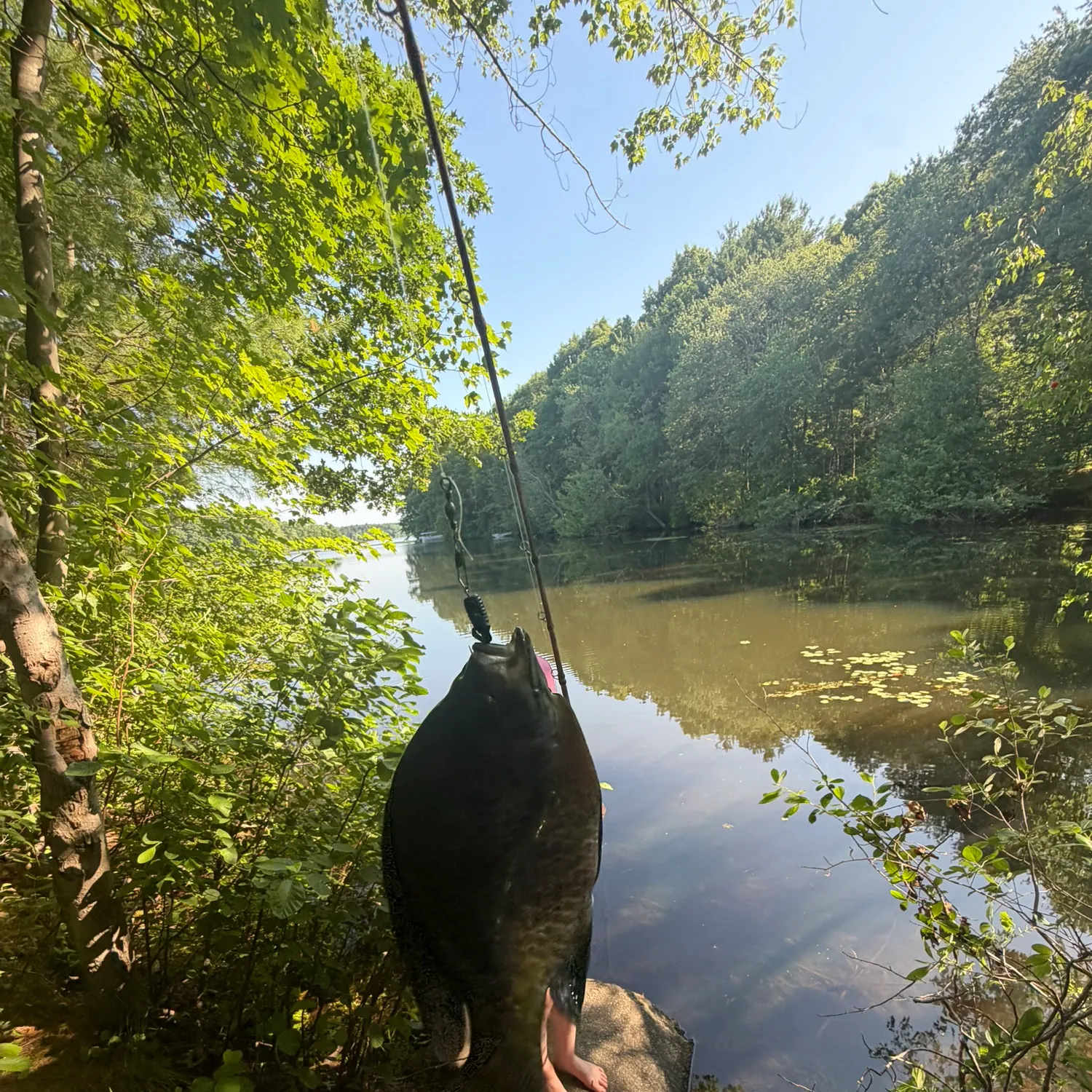 catch