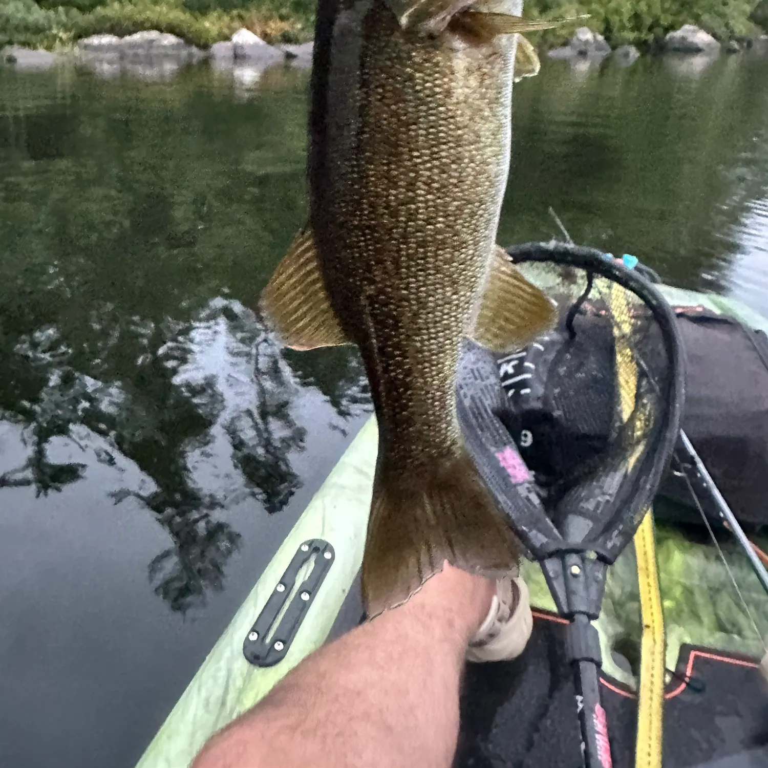 Smallmouth bass caught on Fishbrain