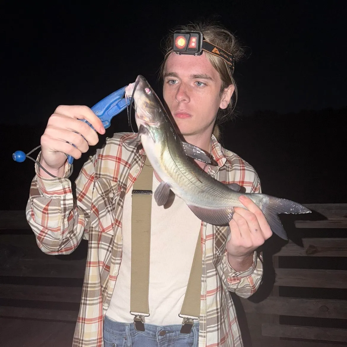 Channel catfish caught on Fishbrain