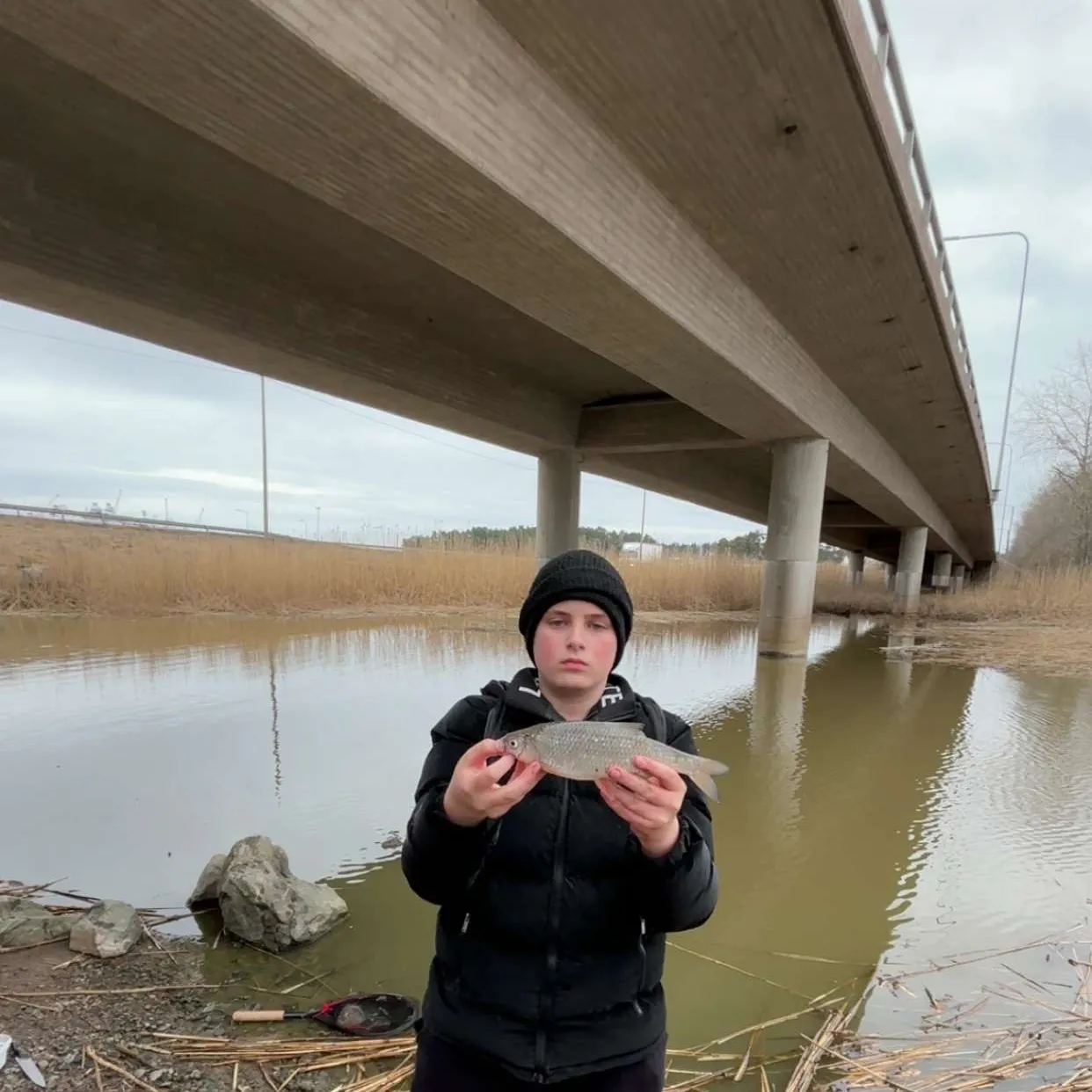 The most recent European chub catches on Fishbrain