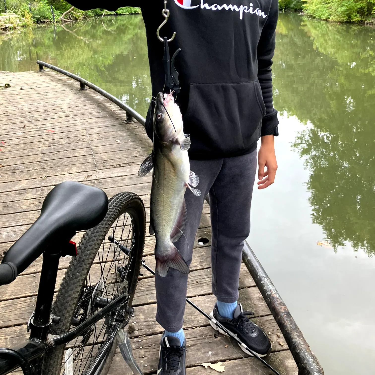 Channel catfish caught on Fishbrain