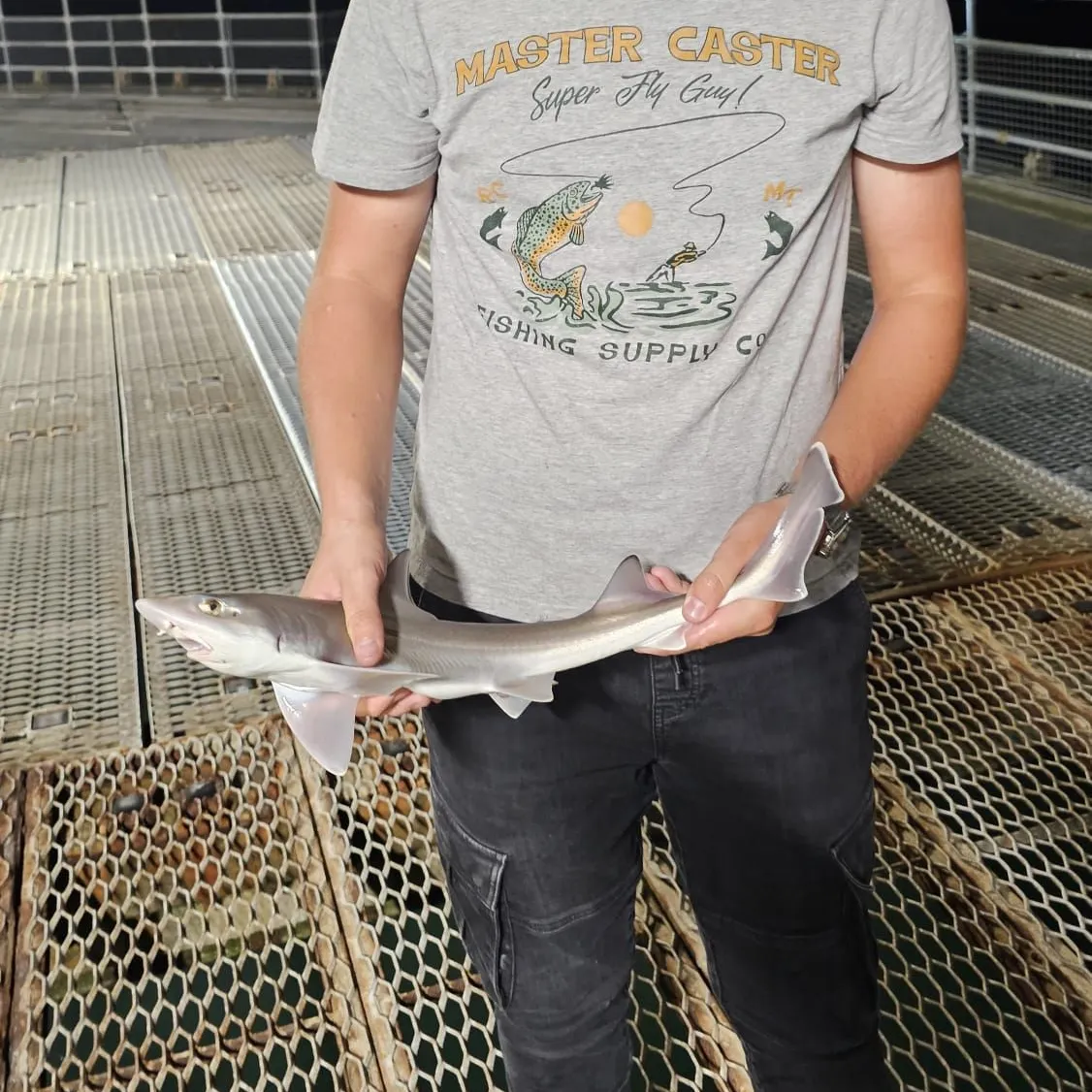 The most recent Starry smooth-hound catches on Fishbrain
