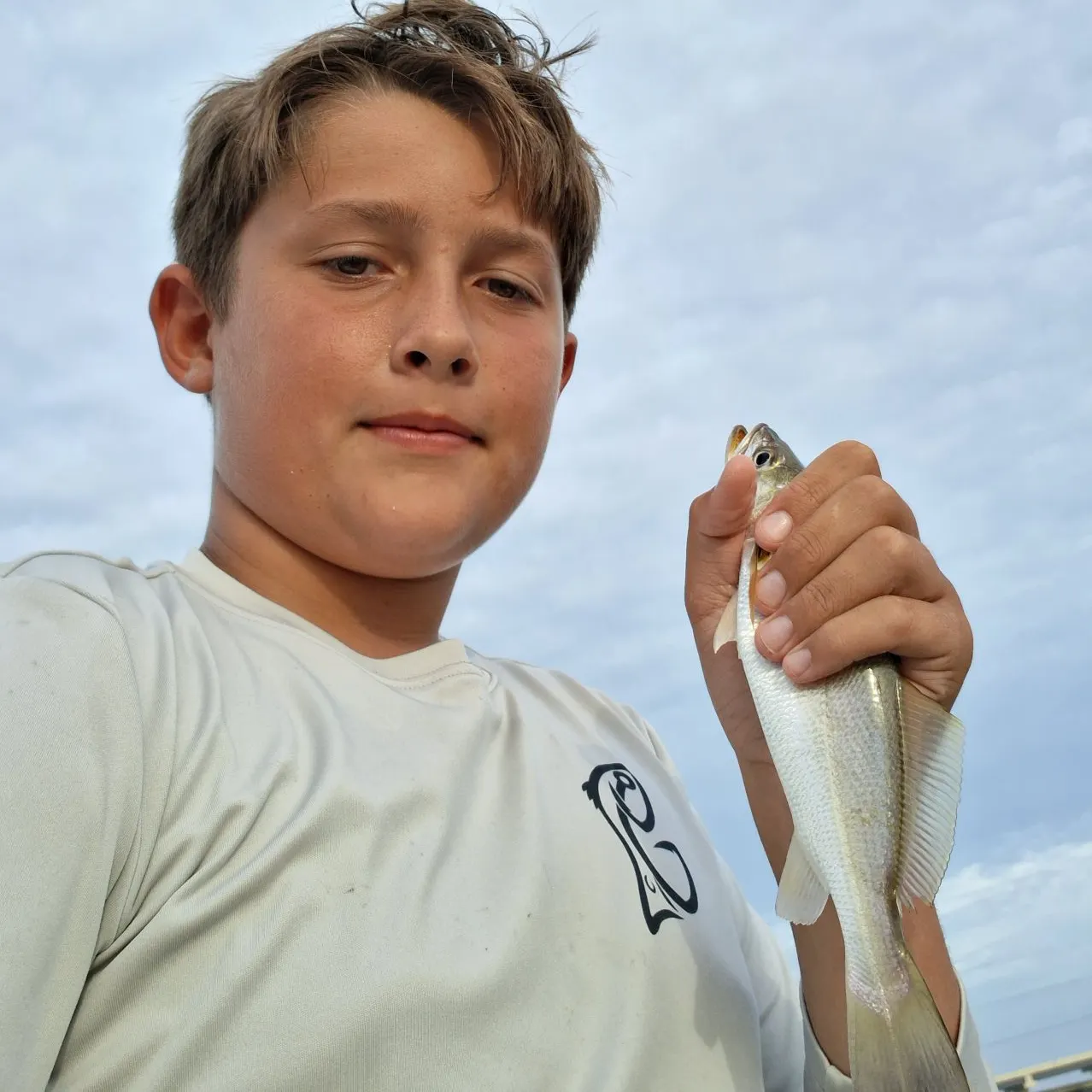 The most recent Sand seatrout catches on Fishbrain