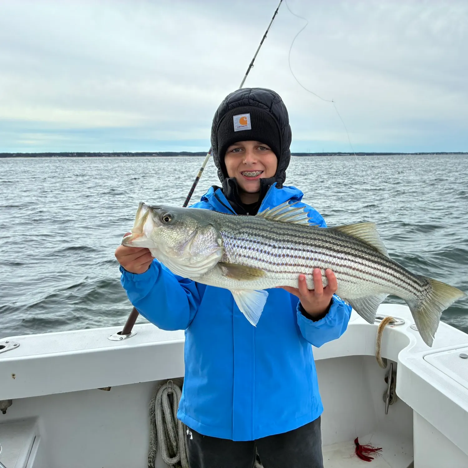 Striped bass caught on Fishbrain