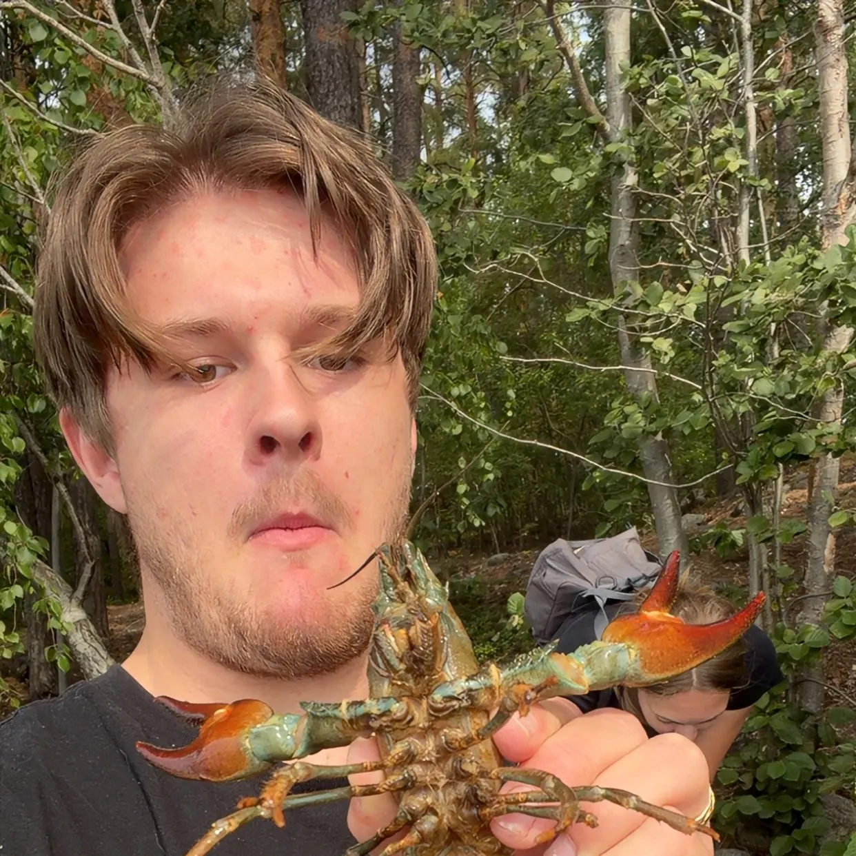 Signal crayfish caught on Fishbrain