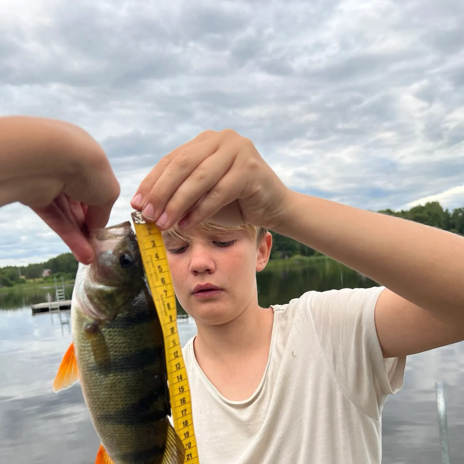 The most recent European perch catches on Fishbrain