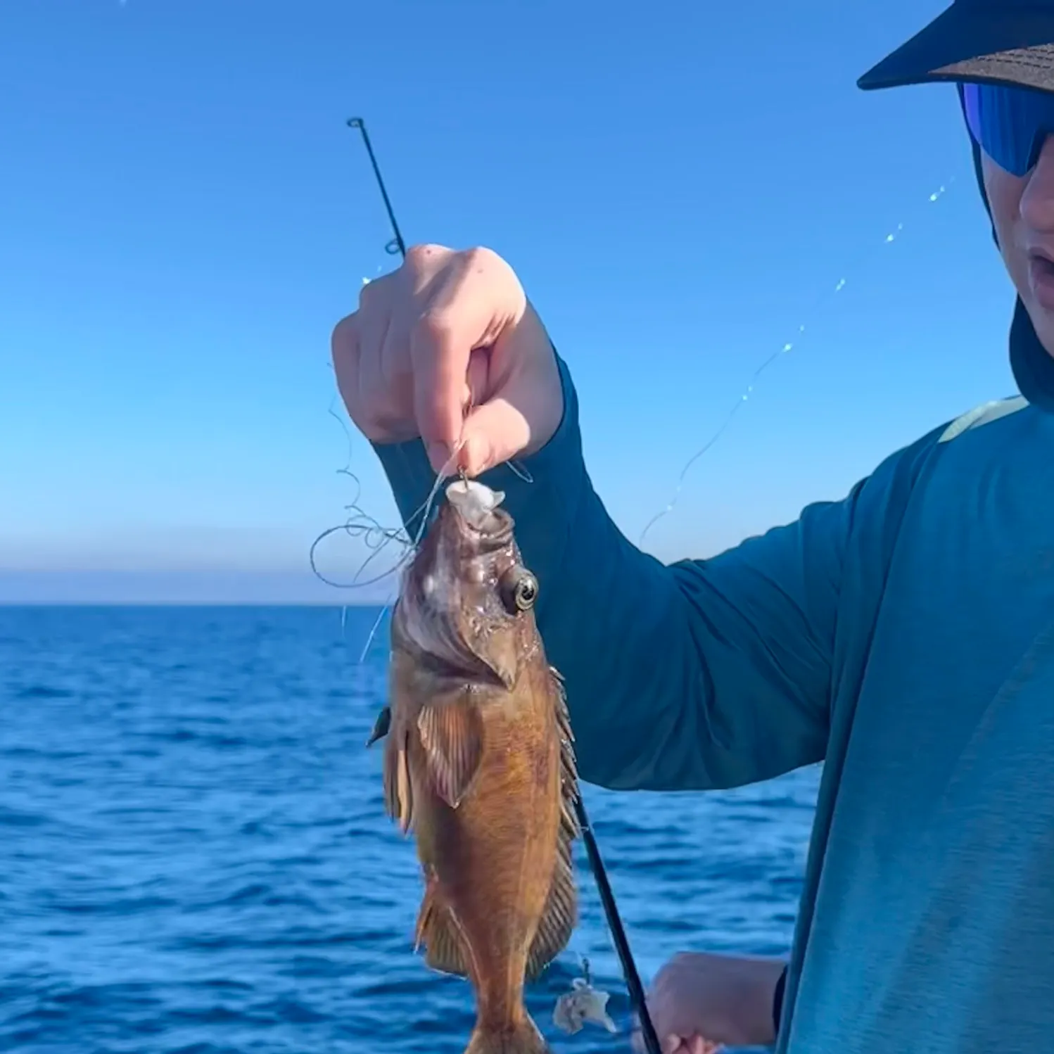 The most recent Brown rockfish catches on Fishbrain