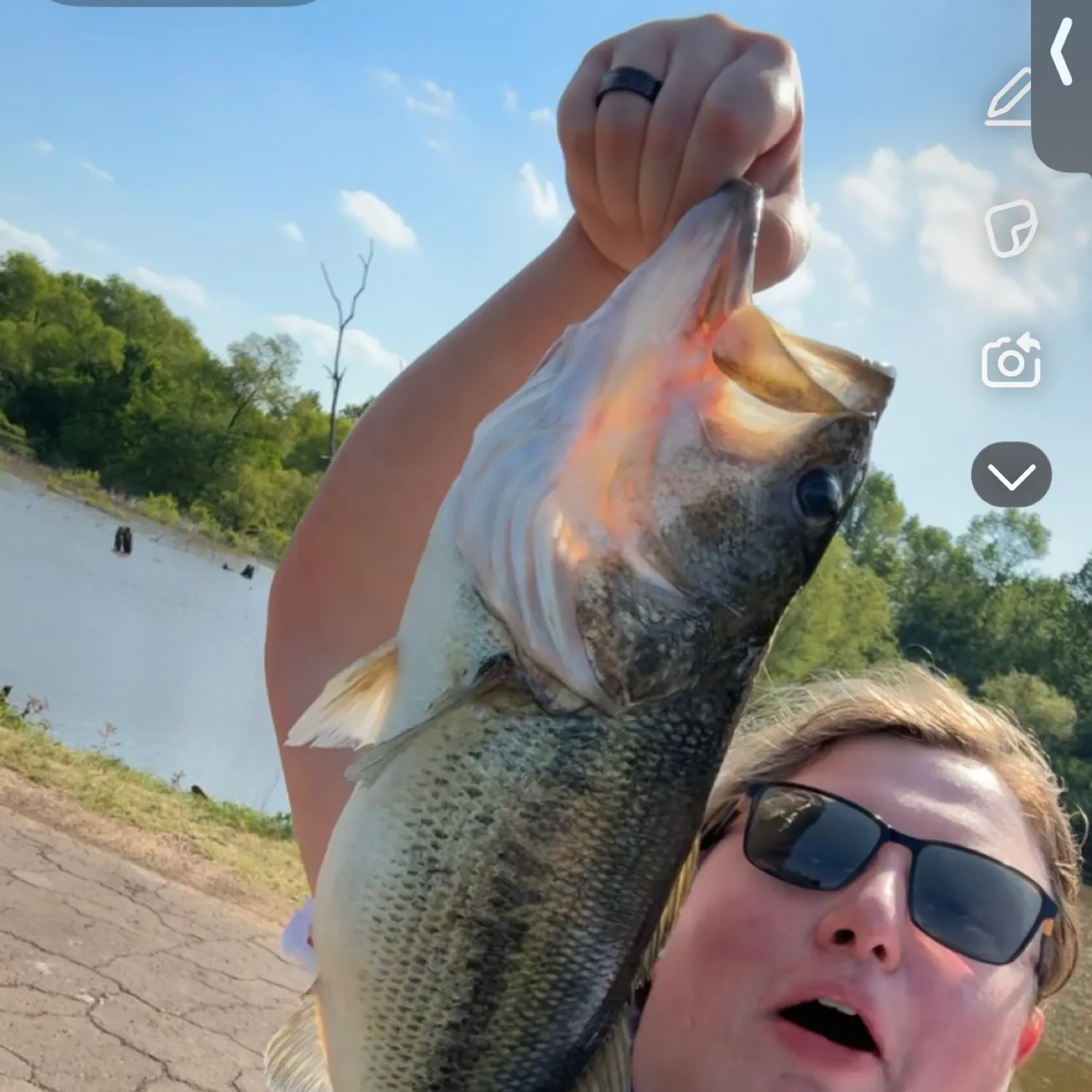 recently logged catches