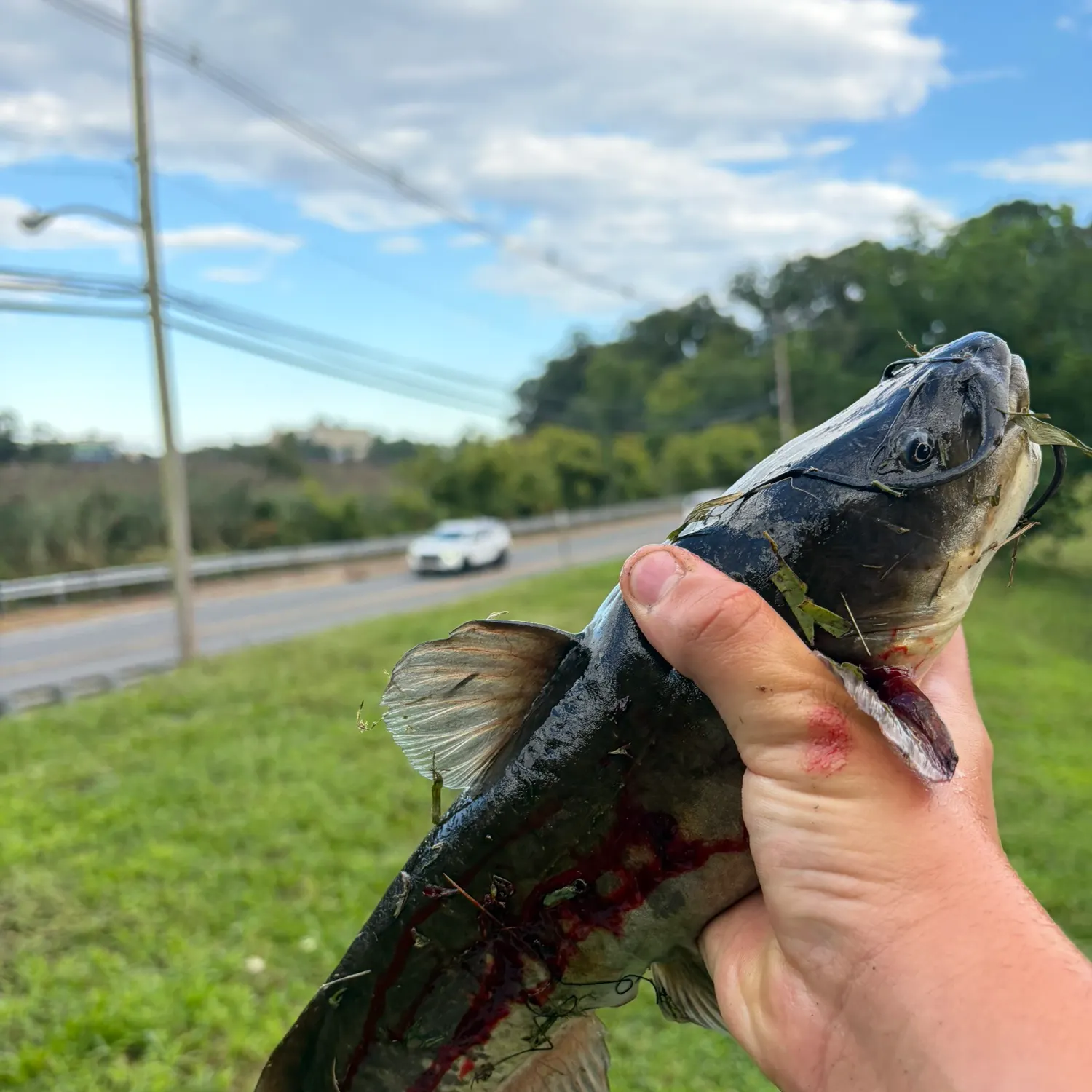 catch