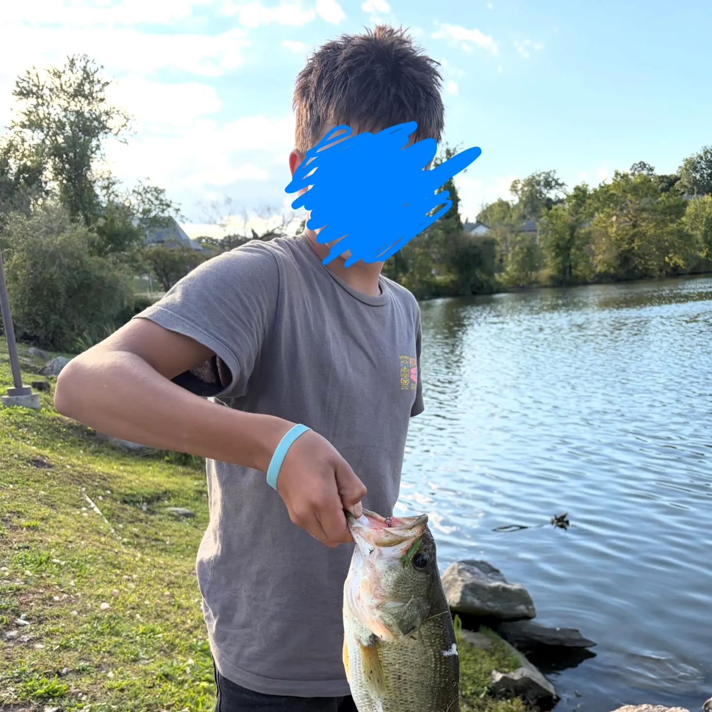Largemouth bass caught on Fishbrain
