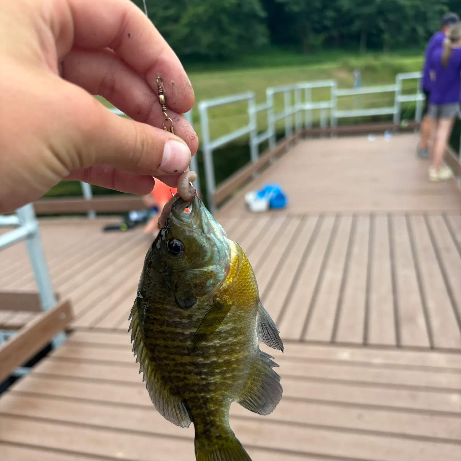 catch