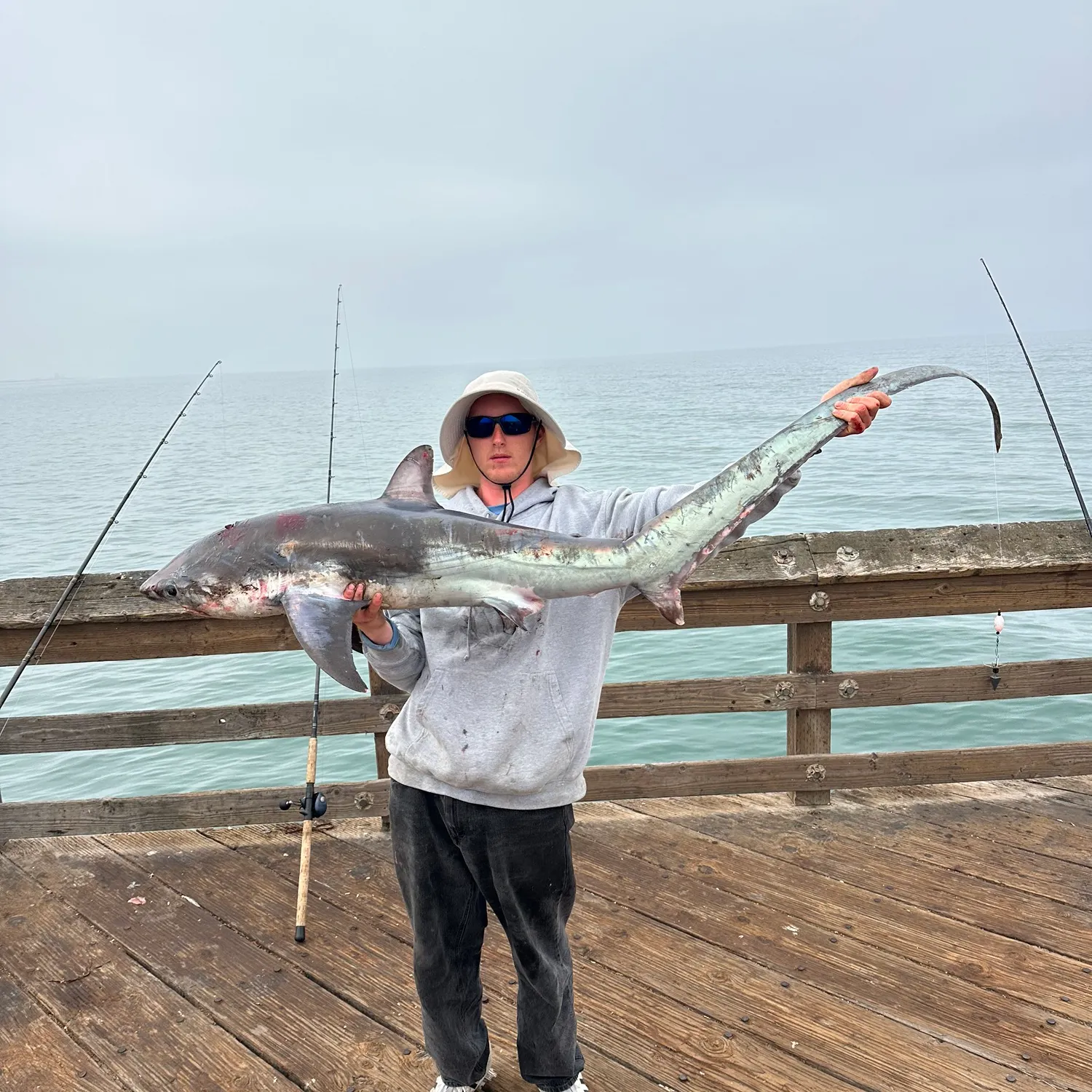 The most recent Common thresher catches on Fishbrain