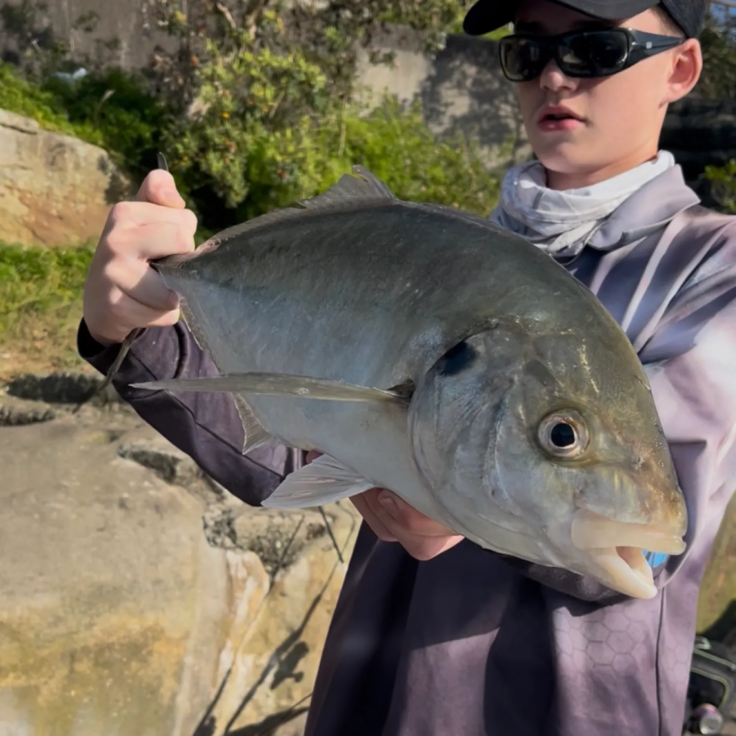 The most recent White trevally catches on Fishbrain