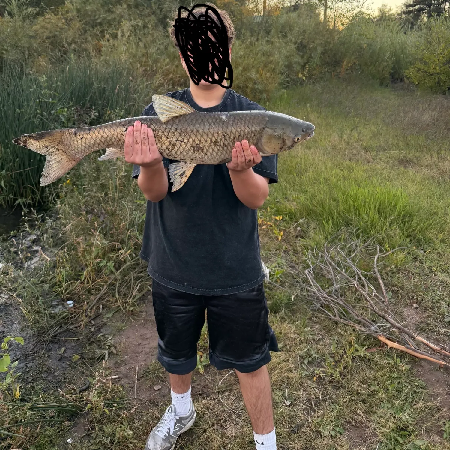 Grass carp caught on Fishbrain
