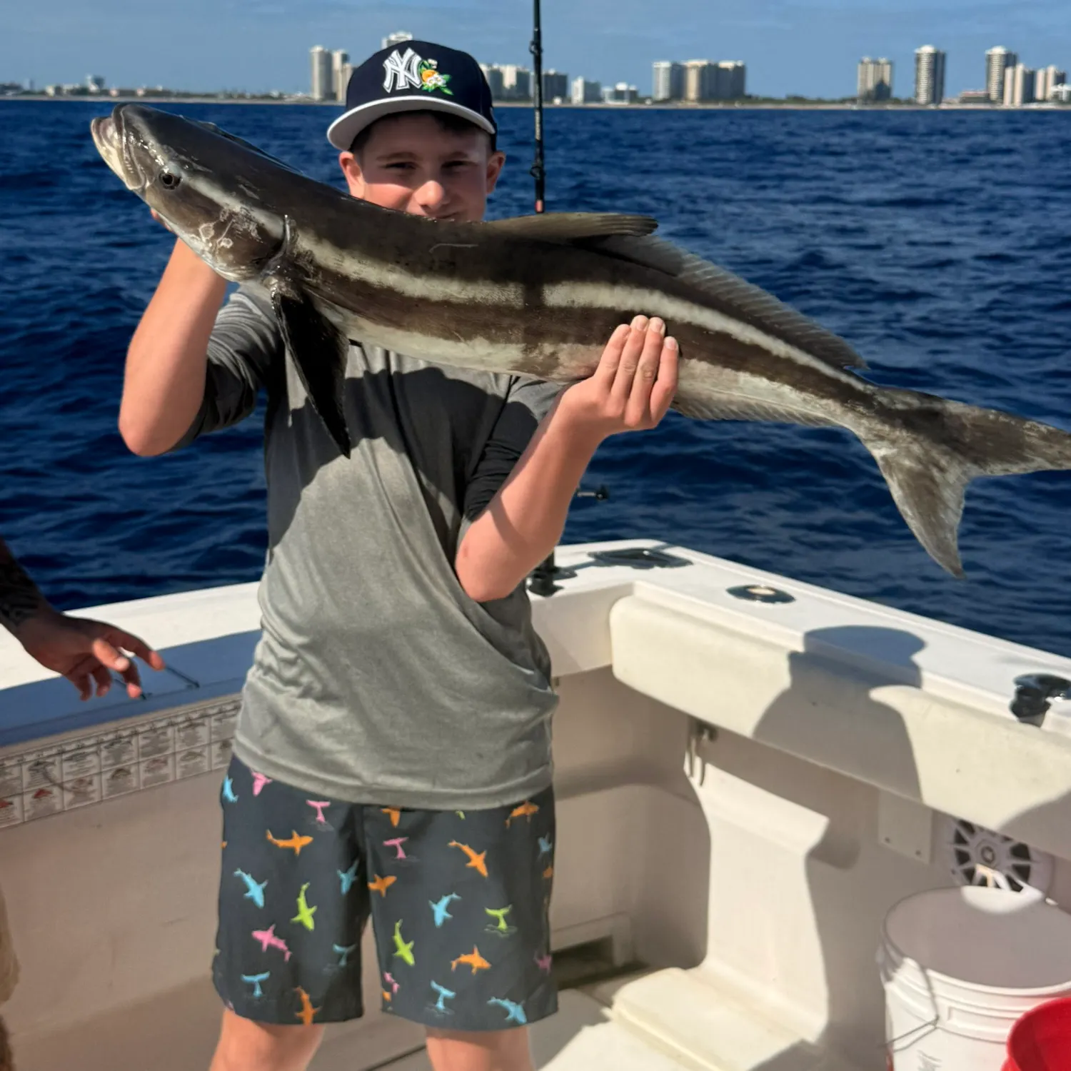The most recent Cobia catches on Fishbrain