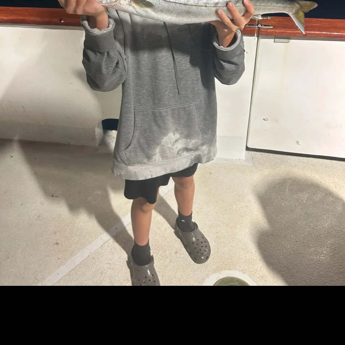 Pacific barracuda caught on Fishbrain