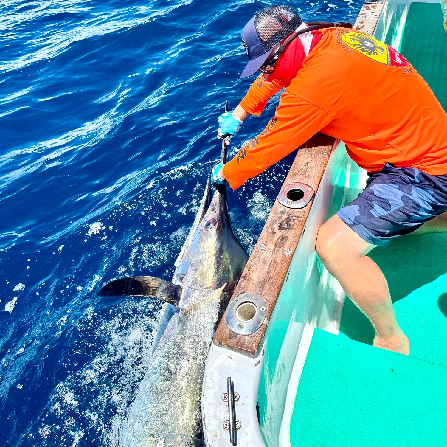The most recent Black marlin catches on Fishbrain