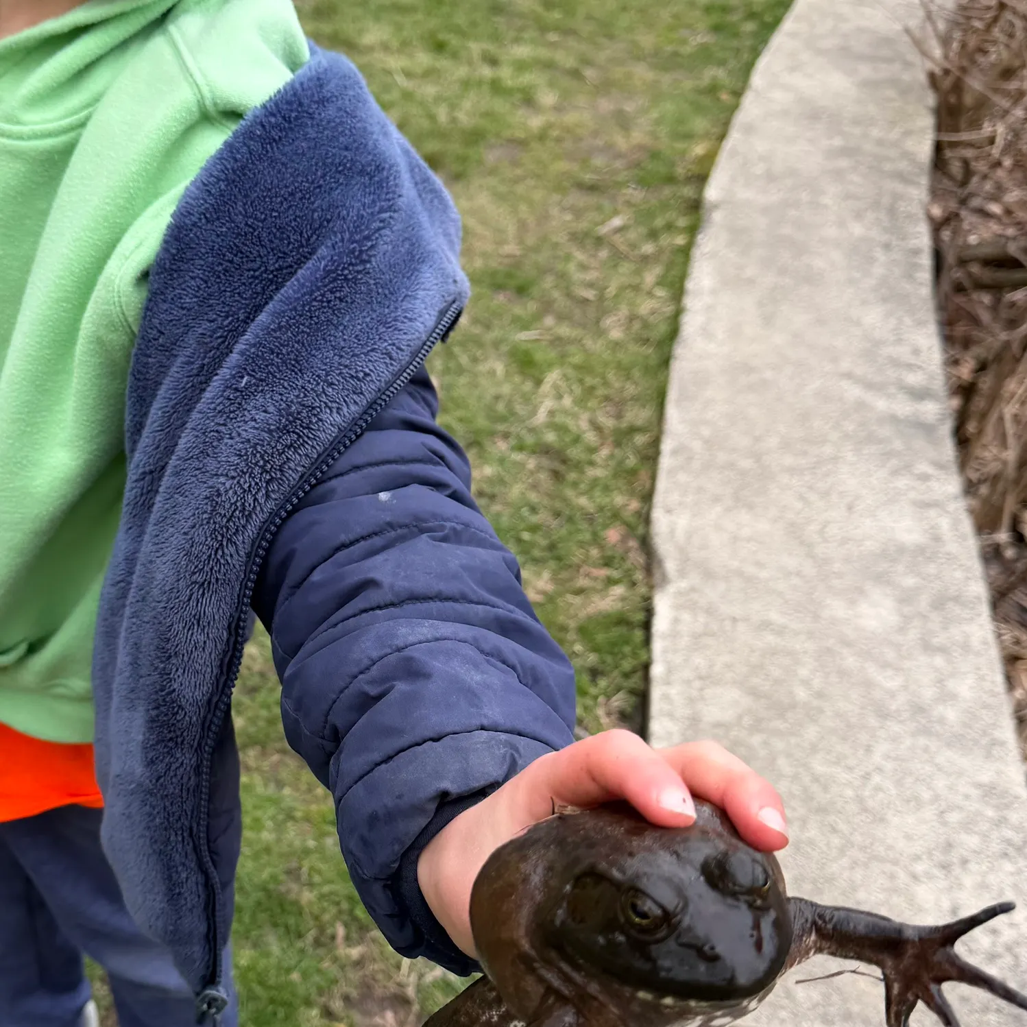 The most recent Atlantic bluefin tuna catches on Fishbrain