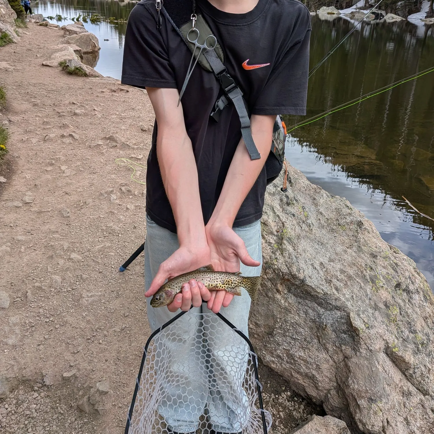 The most recent Greenback cutthroat trout catches on Fishbrain