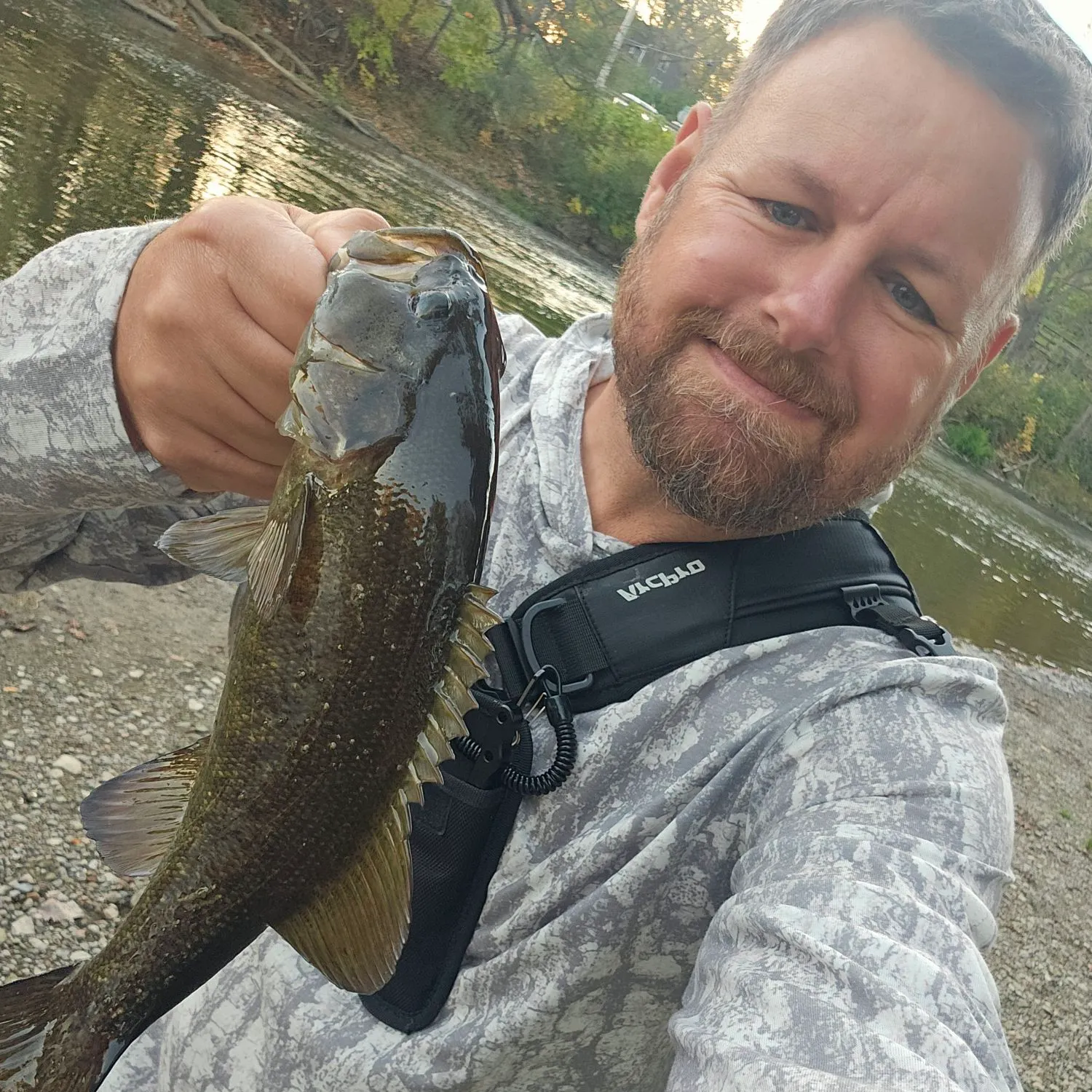Smallmouth bass caught on Fishbrain