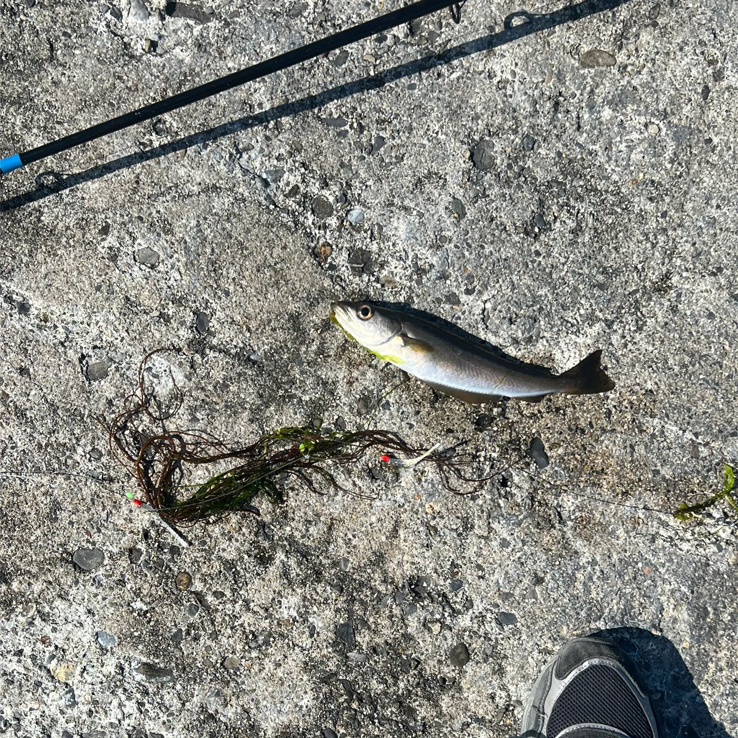 most liked catch image
