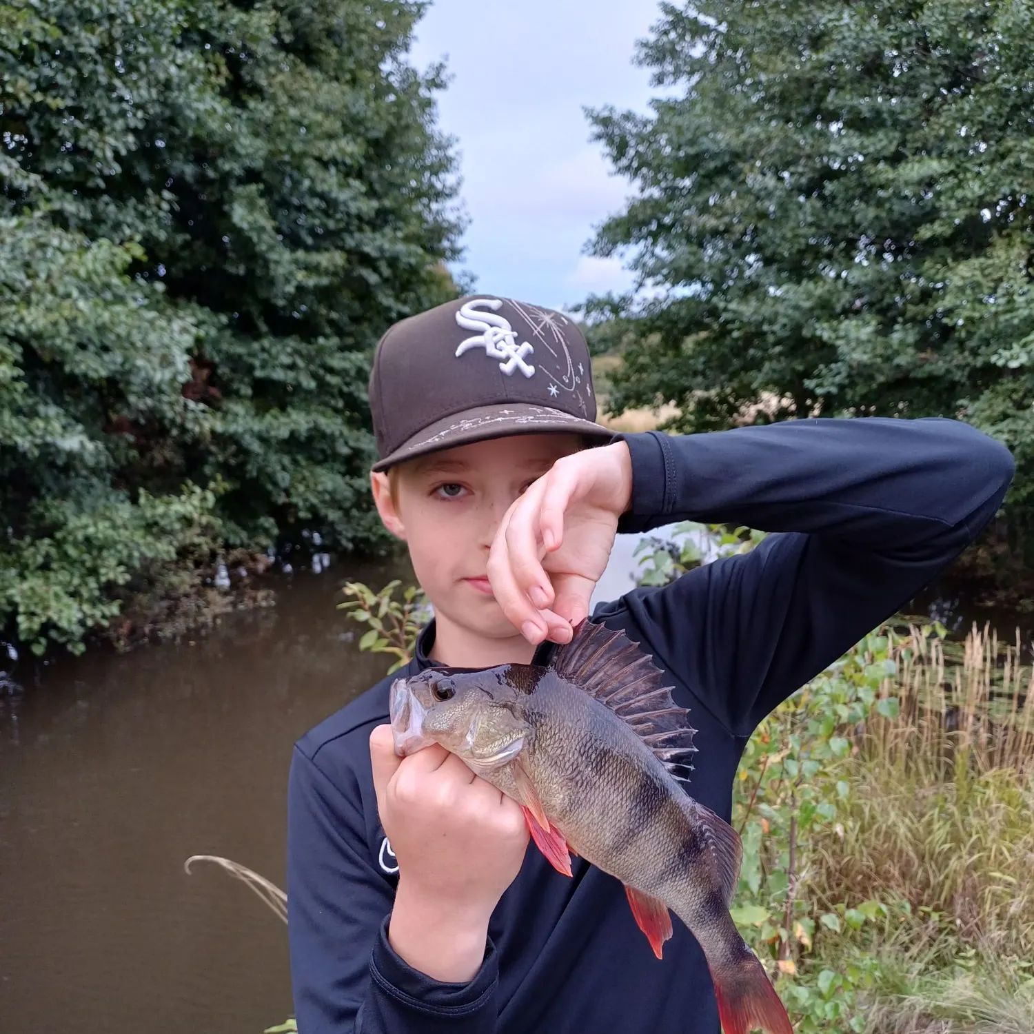 European perch caught on Fishbrain