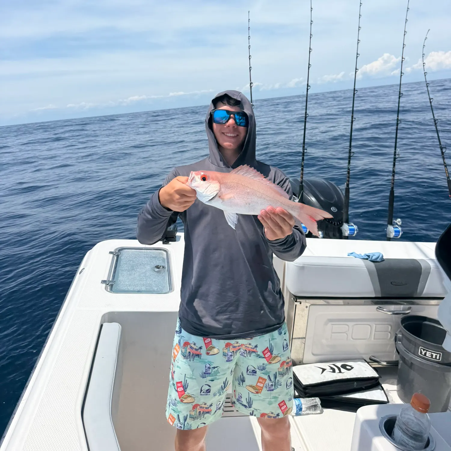 The most recent Vermilion snapper catches on Fishbrain