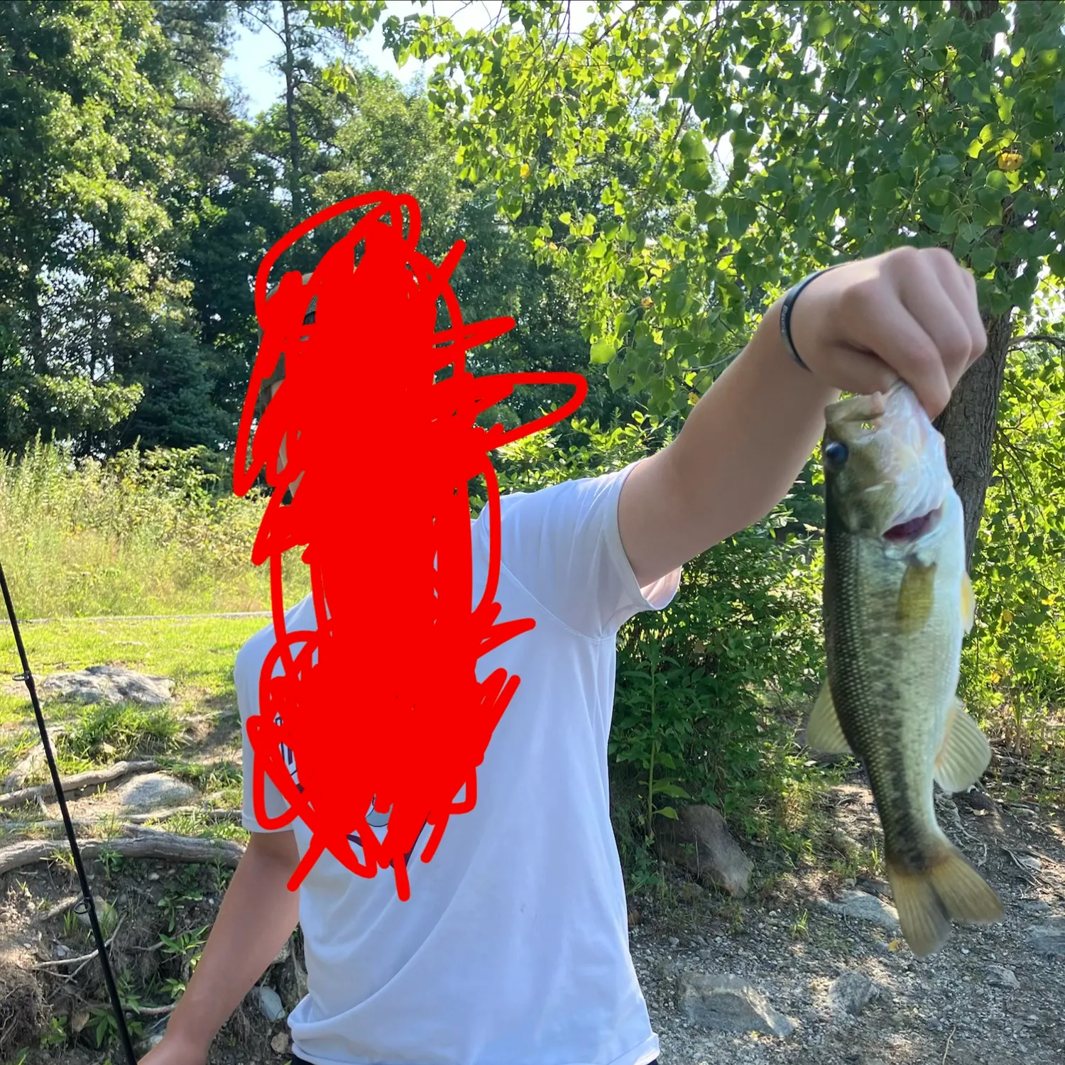 Largemouth bass caught on Fishbrain