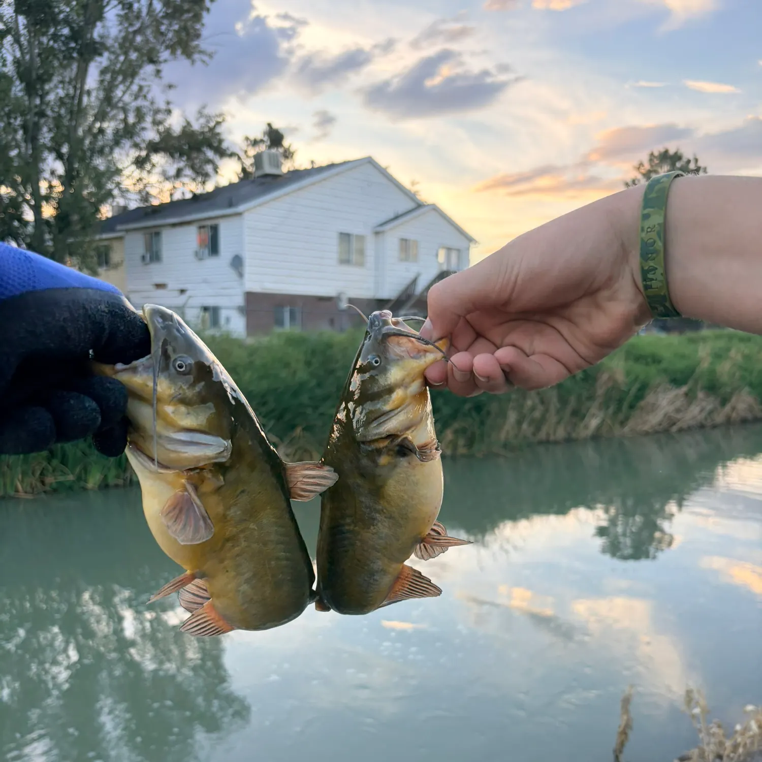 catch