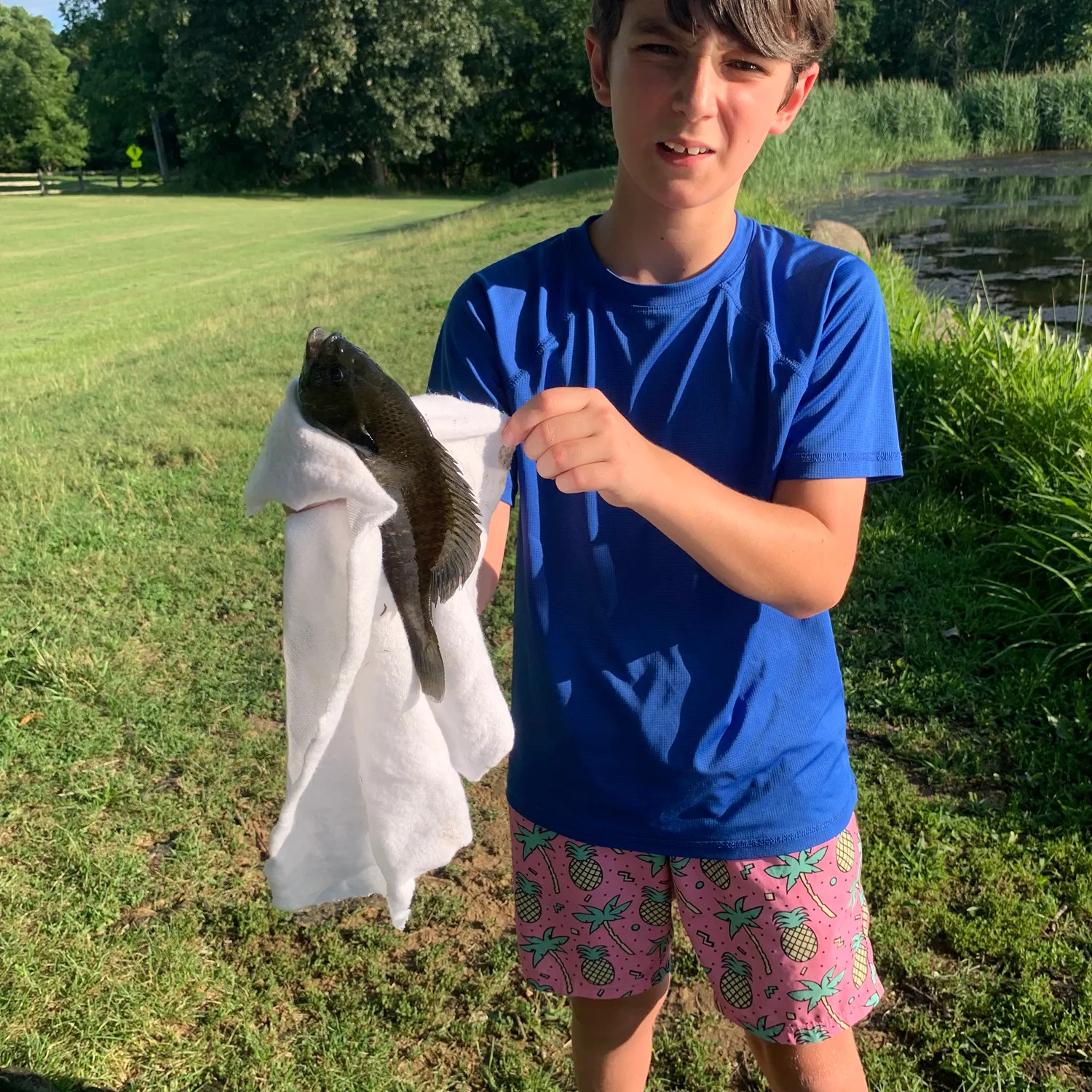 Bluegill caught on Fishbrain
