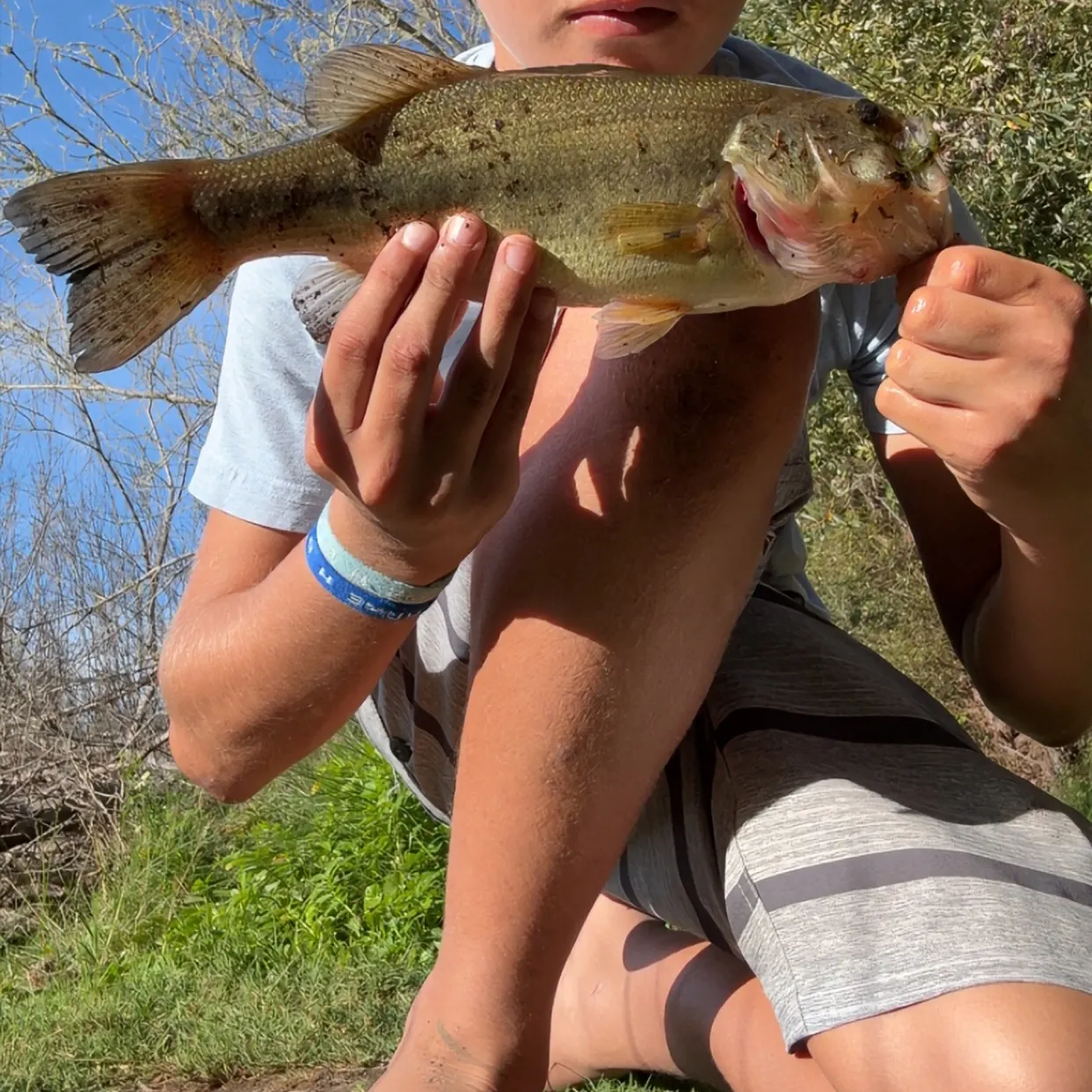 Fish caught on Fishbrain